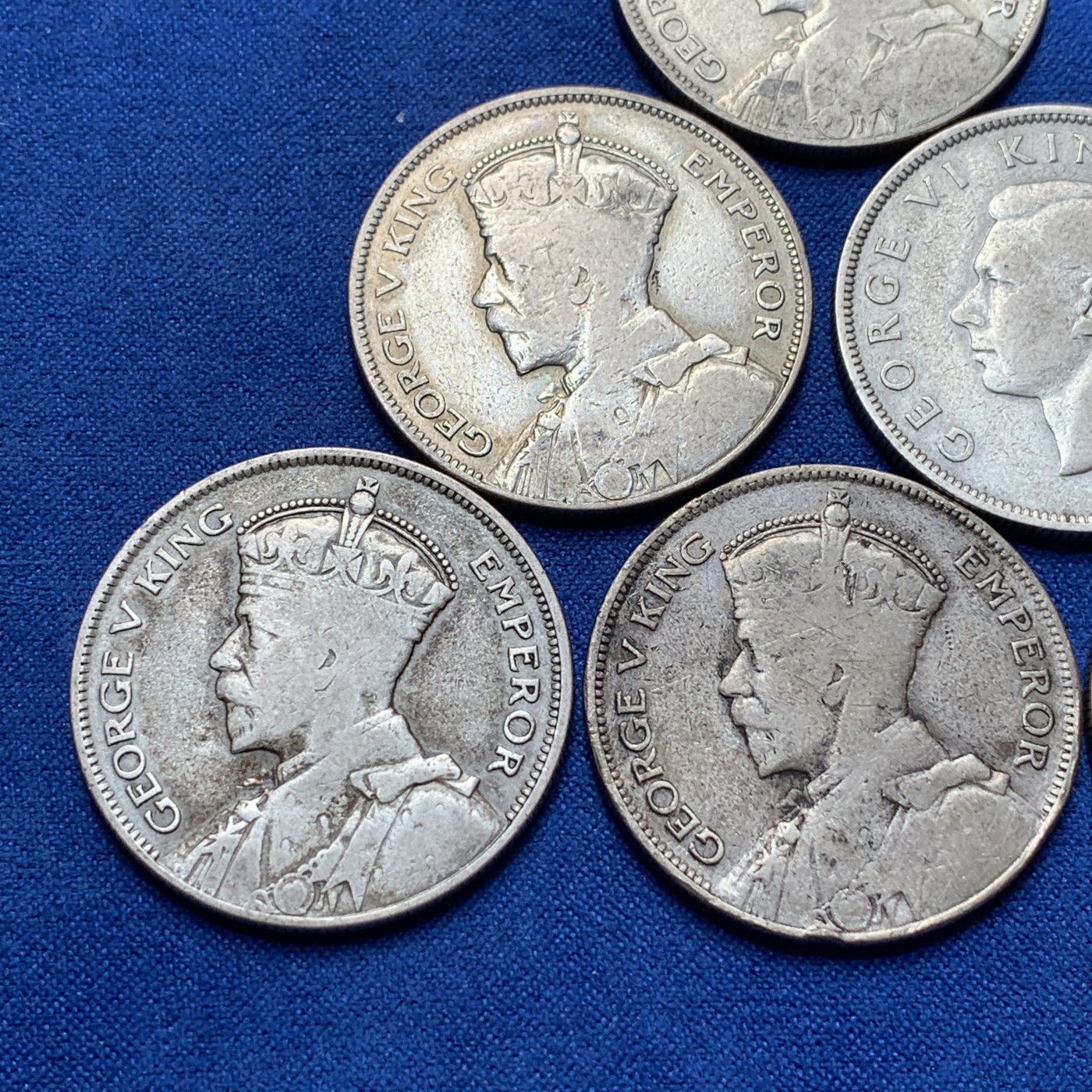 《竞宝斋》第189场-周日，周一 2场 (全场包邮) 6枚一组 新西兰半克朗银币