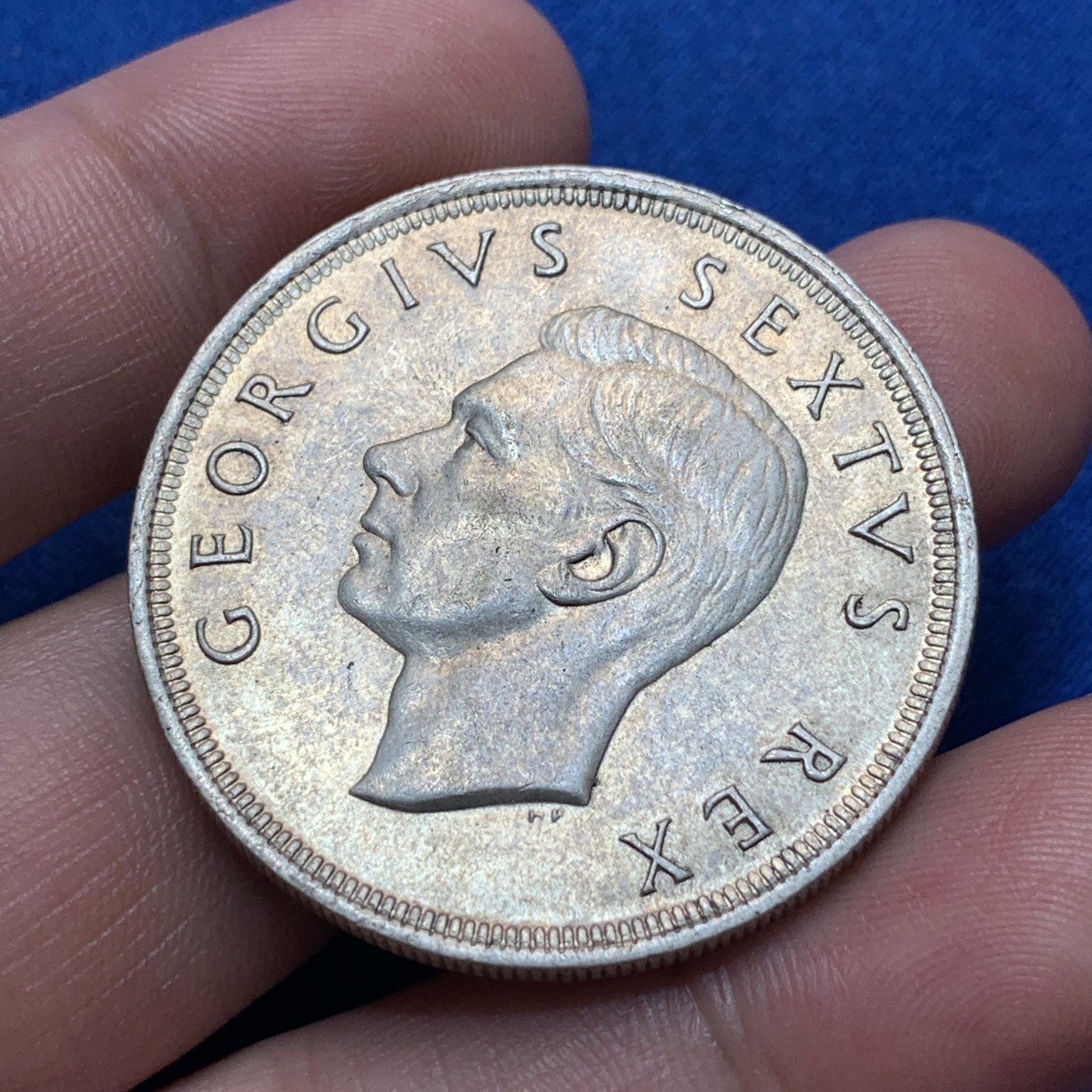 《竞宝斋》第189场-周日，周一 2场 (全场包邮) 英属南非乔六1951年跳羚5先令大银币