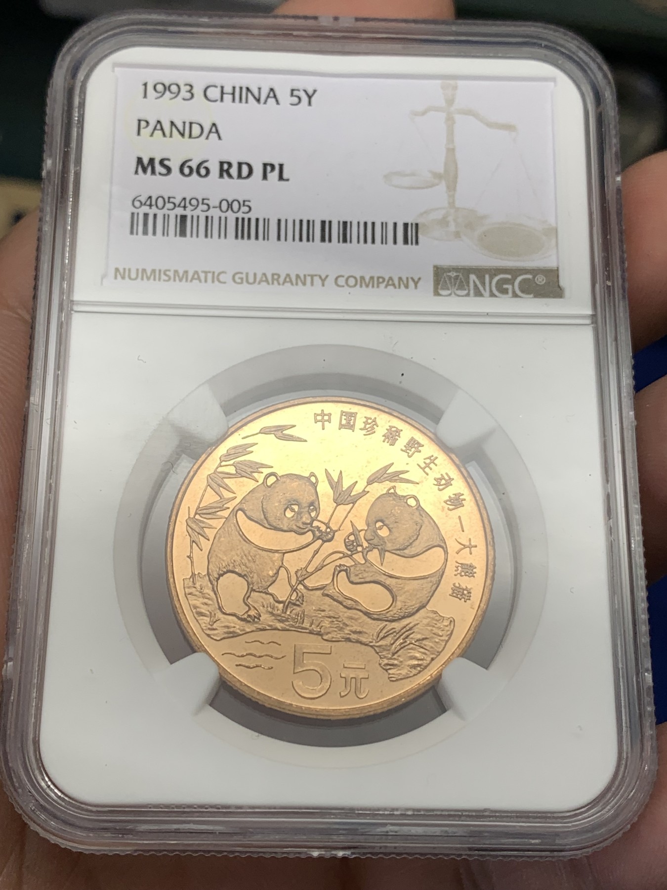 《竞宝斋》第189场-周日，周一 2场 (全场包邮) NGC-MS66RDPL 中国1993熊猫5元铜币 好转光 类精制底板