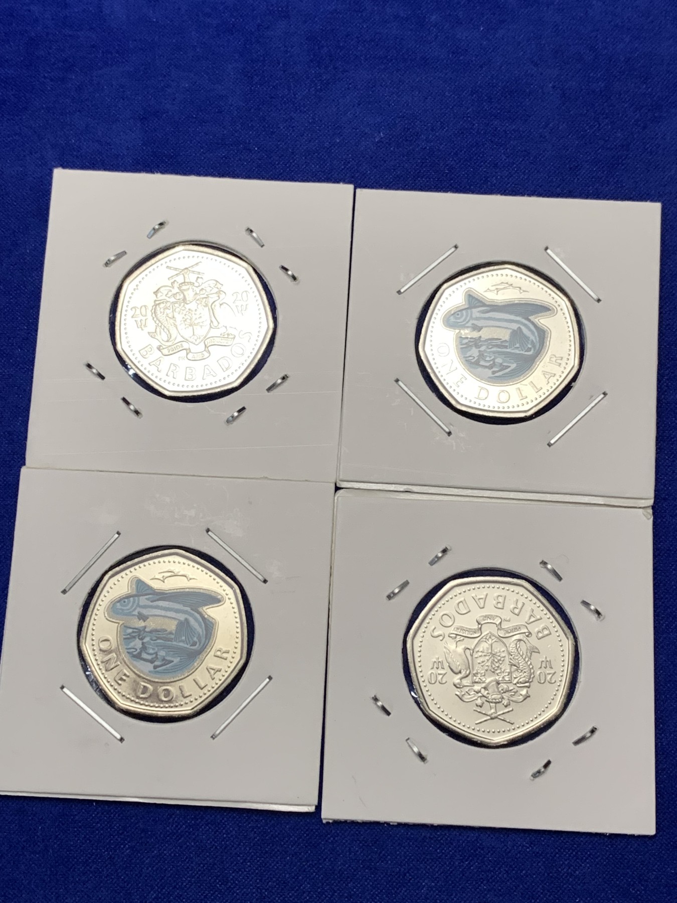 《竞宝斋》第189场-周日，周一 2场 (全场包邮) 巴巴多斯 2020年1元彩色飞鱼七边形币 4枚 卷拆品