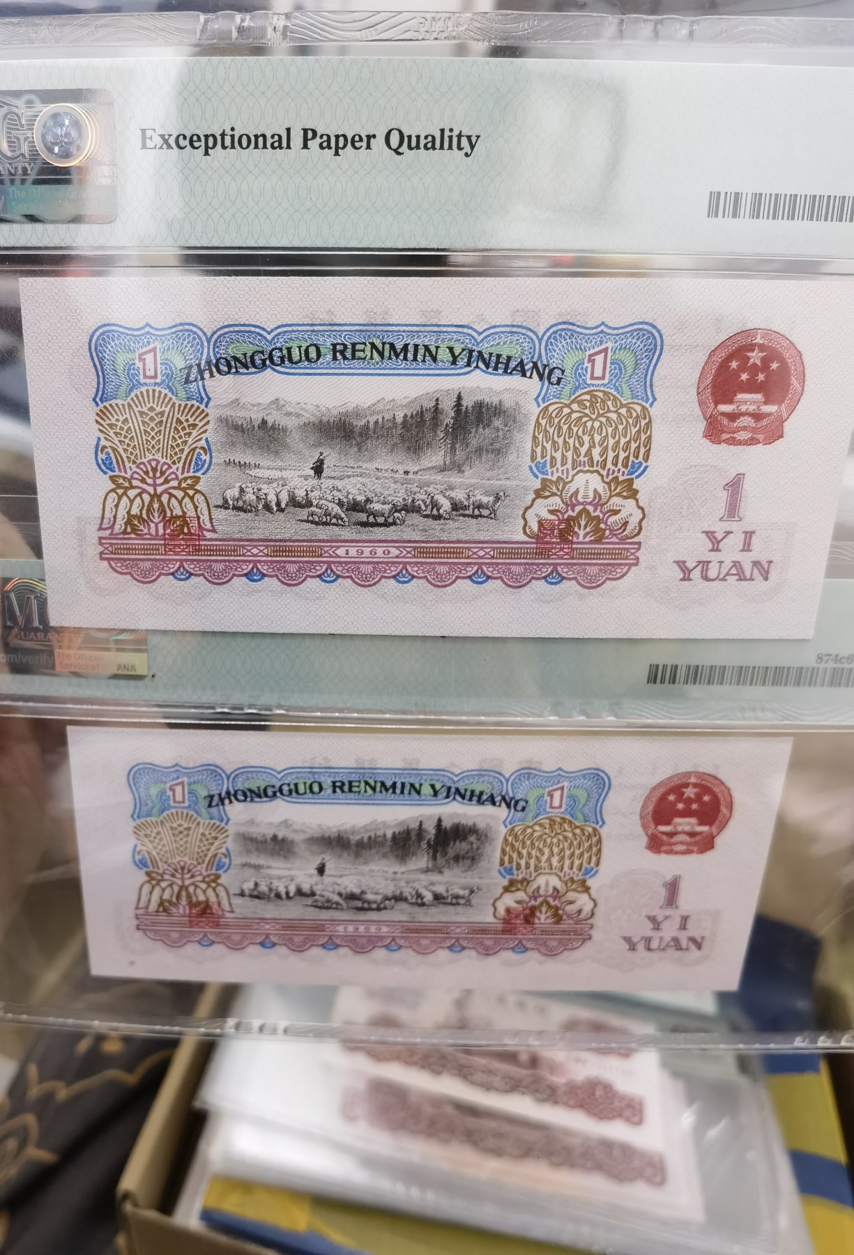 8.20和秋天的约定 二罗马，拖拉机。号码无347，美评67分