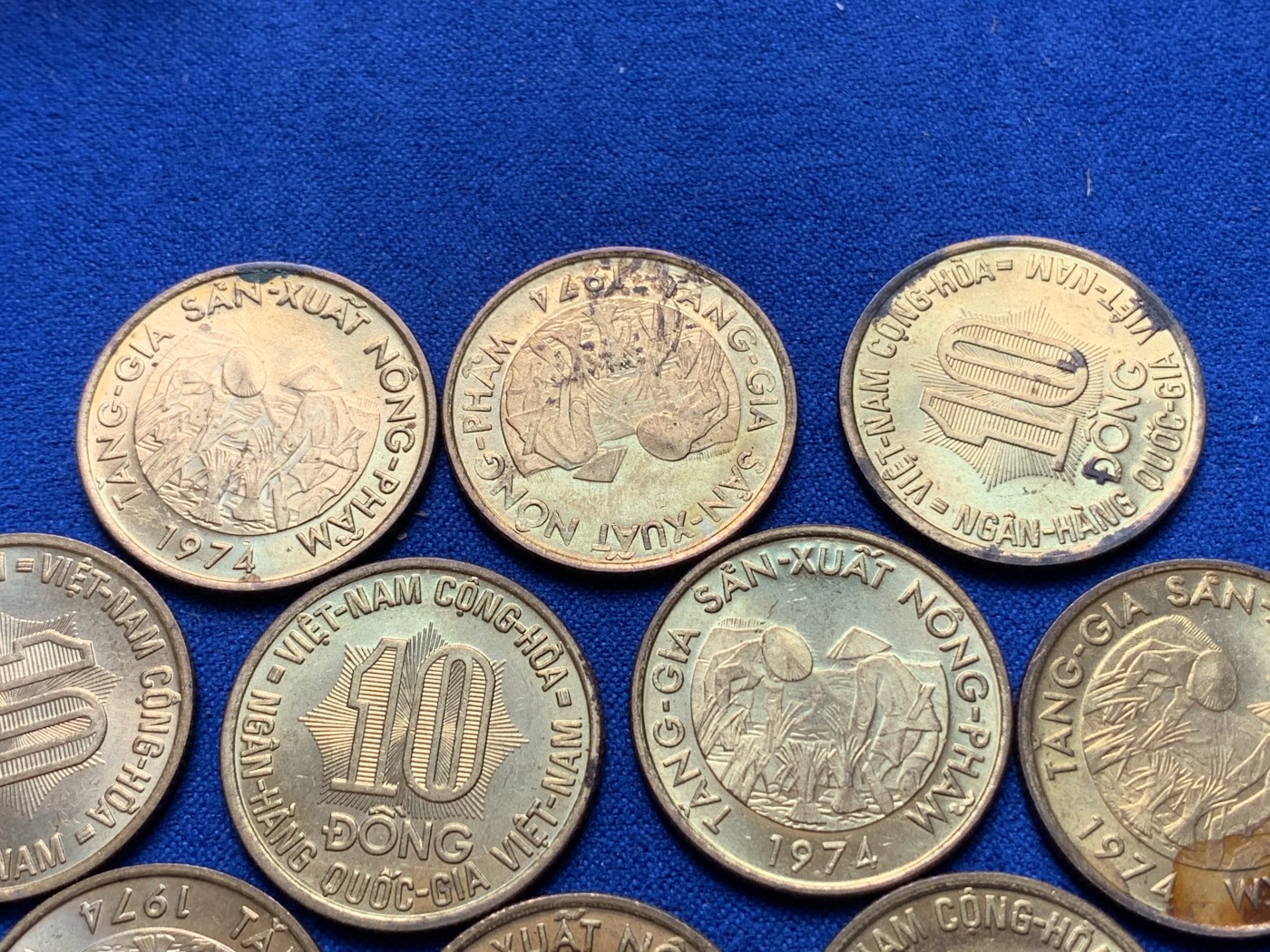 《竞宝斋》第189场-周日，周一 2场 (全场包邮) 10枚一组 南越1974年10盾 FAO 钢镀黄铜纪念币