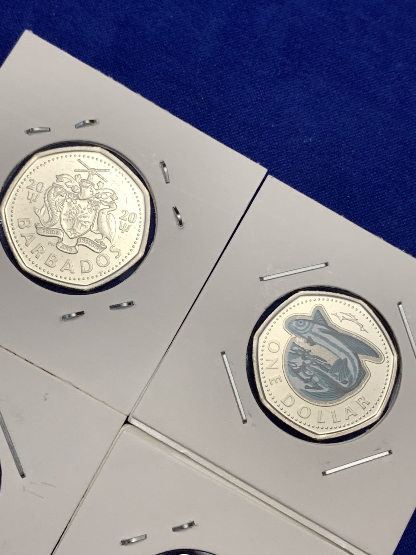 《竞宝斋》第189场-周日，周一 2场 (全场包邮) 巴巴多斯 2020年1元彩色飞鱼七边形币 4枚 卷拆品