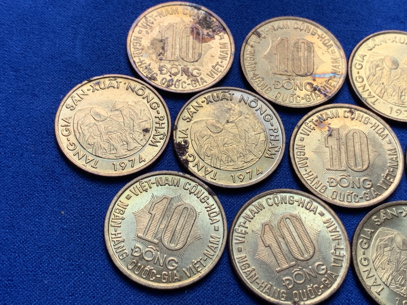 《竞宝斋》第189场-周日，周一 2场 (全场包邮) 10枚一组 南越1974年10盾 FAO 钢镀黄铜纪念币