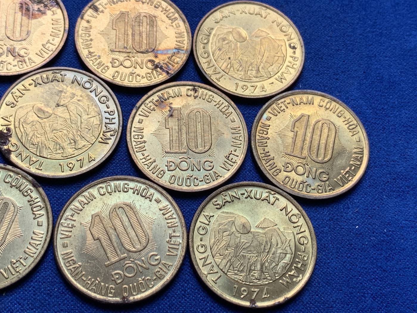 《竞宝斋》第189场-周日，周一 2场 (全场包邮) 10枚一组 南越1974年10盾 FAO 钢镀黄铜纪念币