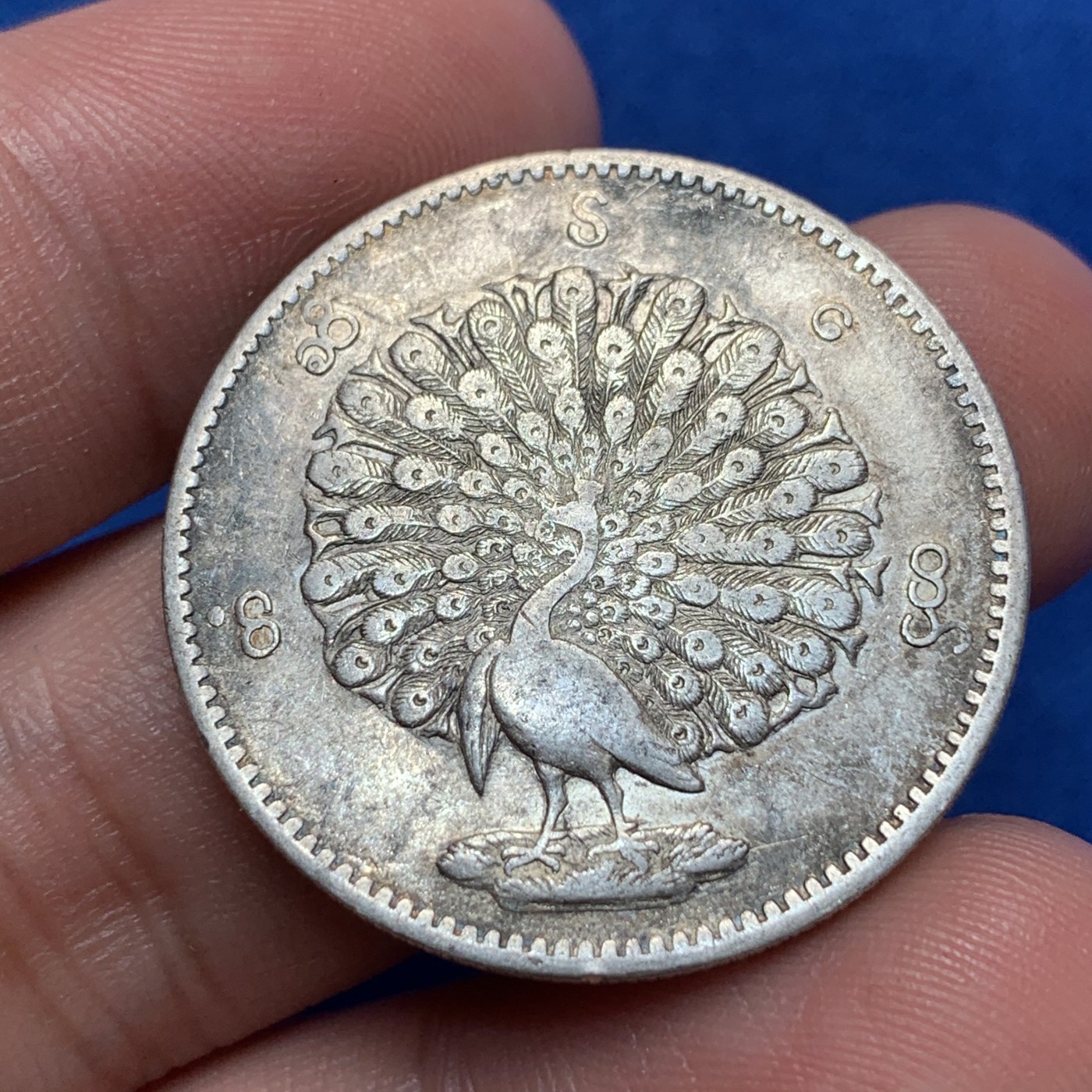 《竞宝斋》第189场-周日，周一 2场 (全场包邮) 缅甸孔雀银币1K主币 羽毛清晰可见 深打好状态