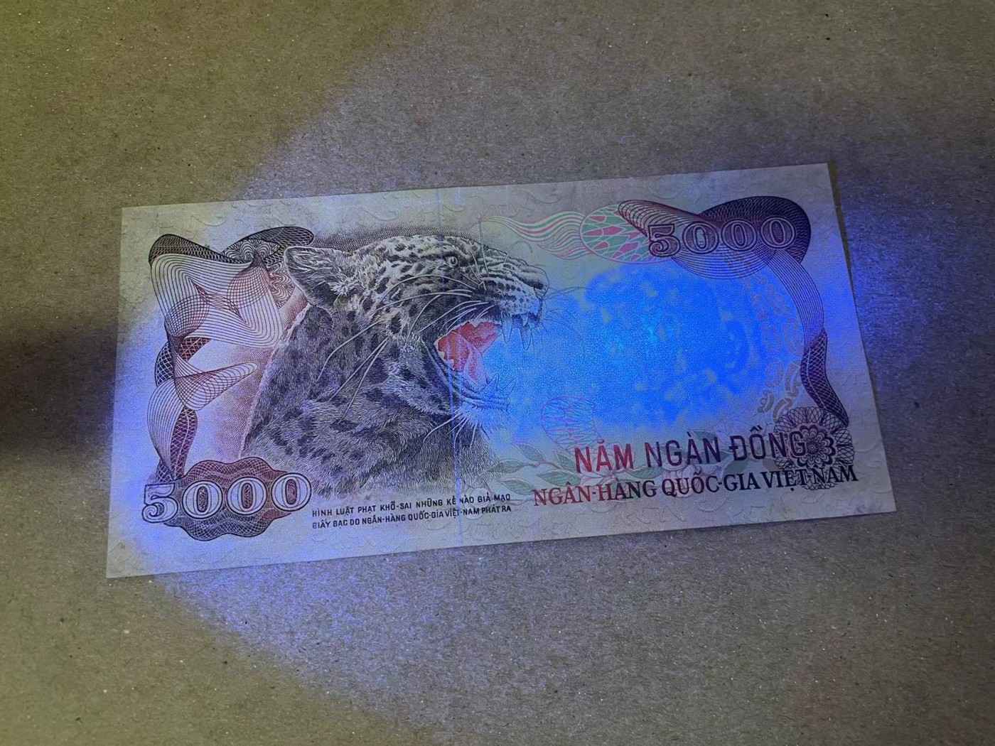 【Blue Auction】✨世界纸币精拍第360期【精】——Irish Free State 南越 1975年5000盾 未发行 实钞 经典豹子 XF-AU品相 