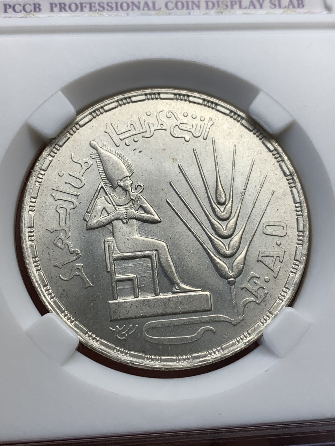 《竞宝斋》第190场-周日，周一 2场 (全场包邮) 埃及国际粮农组织1镑银币