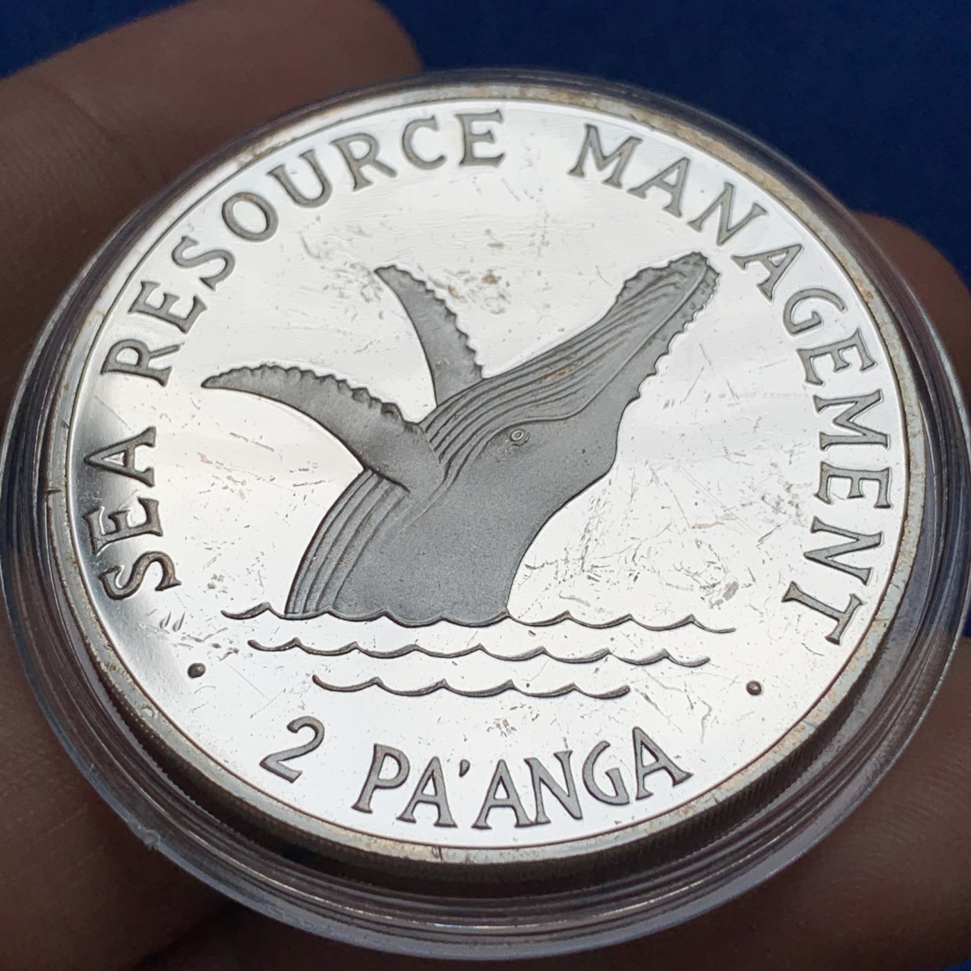 《竞宝斋》第190场-周日，周一 2场 (全场包邮) 汤加 1980年 海洋环境保护 FAO 2P大银币  36.6克999银 比目录的35克还多了不少 发行量少