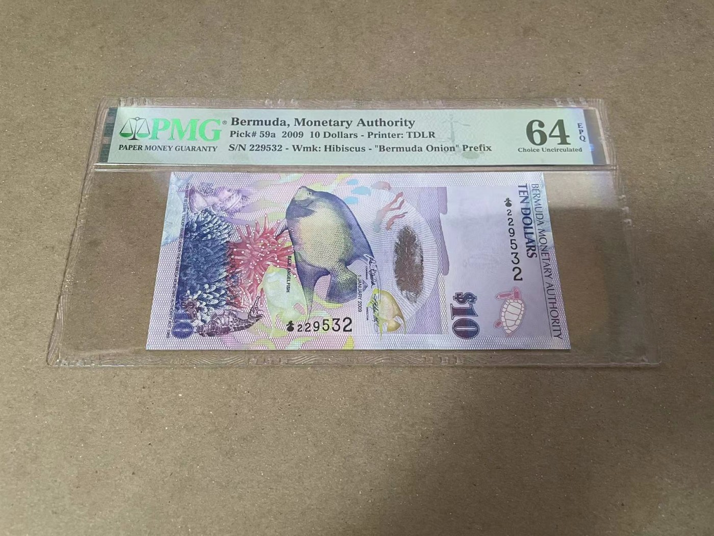 【Blue Auction】✨世界纸币精拍第360期【精】——Irish Free State 【洋葱冠 无47】百慕大 2009年10元 PMG64EPQ  