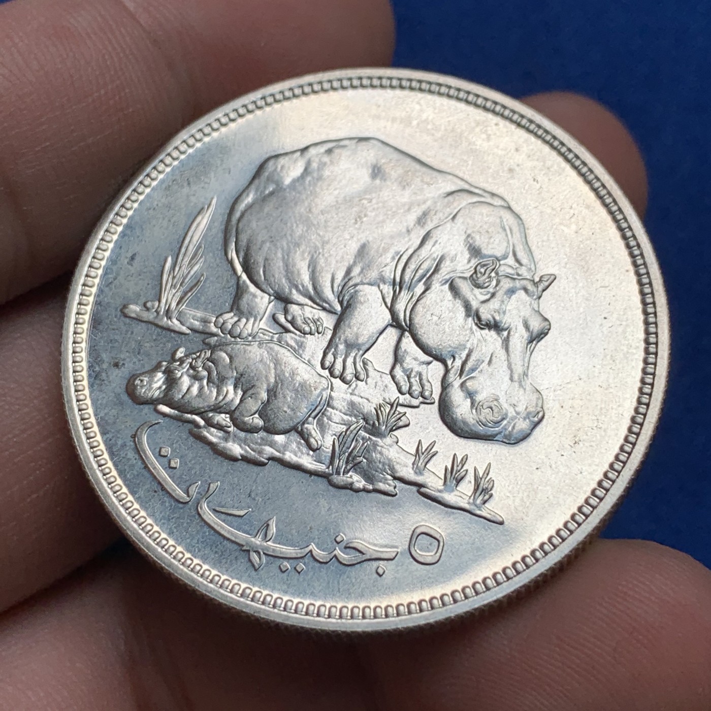 《竞宝斋》第190场-周日，周一 2场 (全场包邮) 苏丹1976年 保护自然系列河马母子 5镑 大银币 少见品种 35克 925银