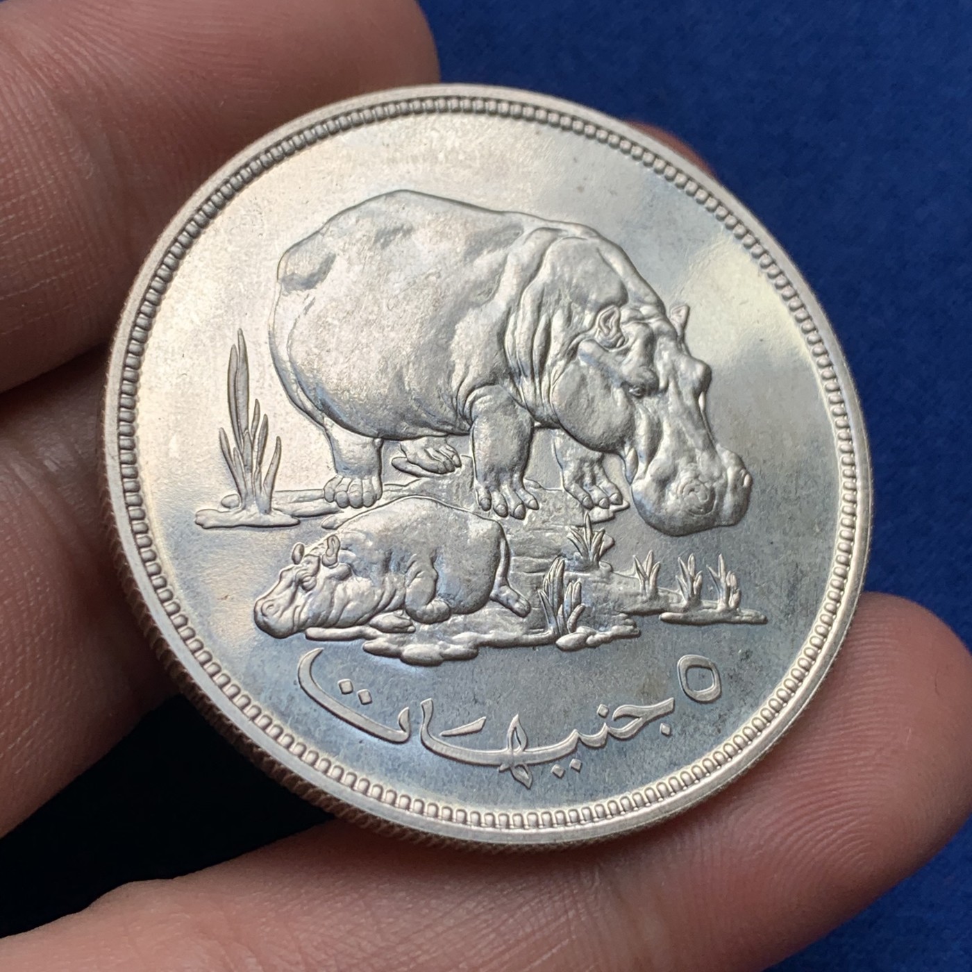 《竞宝斋》第190场-周日，周一 2场 (全场包邮) 苏丹1976年 保护自然系列河马母子 5镑 大银币 少见品种 35克 925银