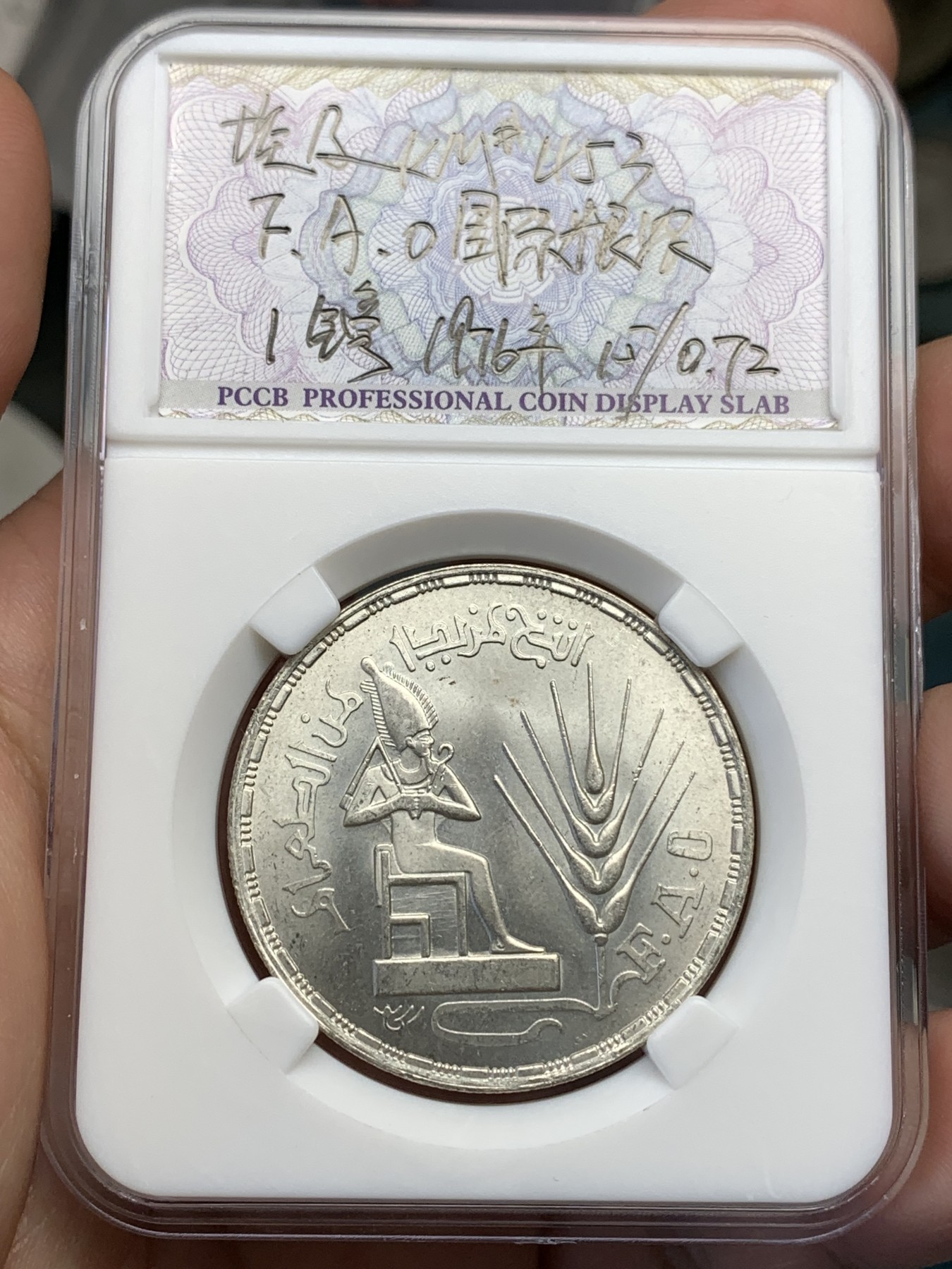 《竞宝斋》第190场-周日，周一 2场 (全场包邮) 埃及国际粮农组织1镑银币