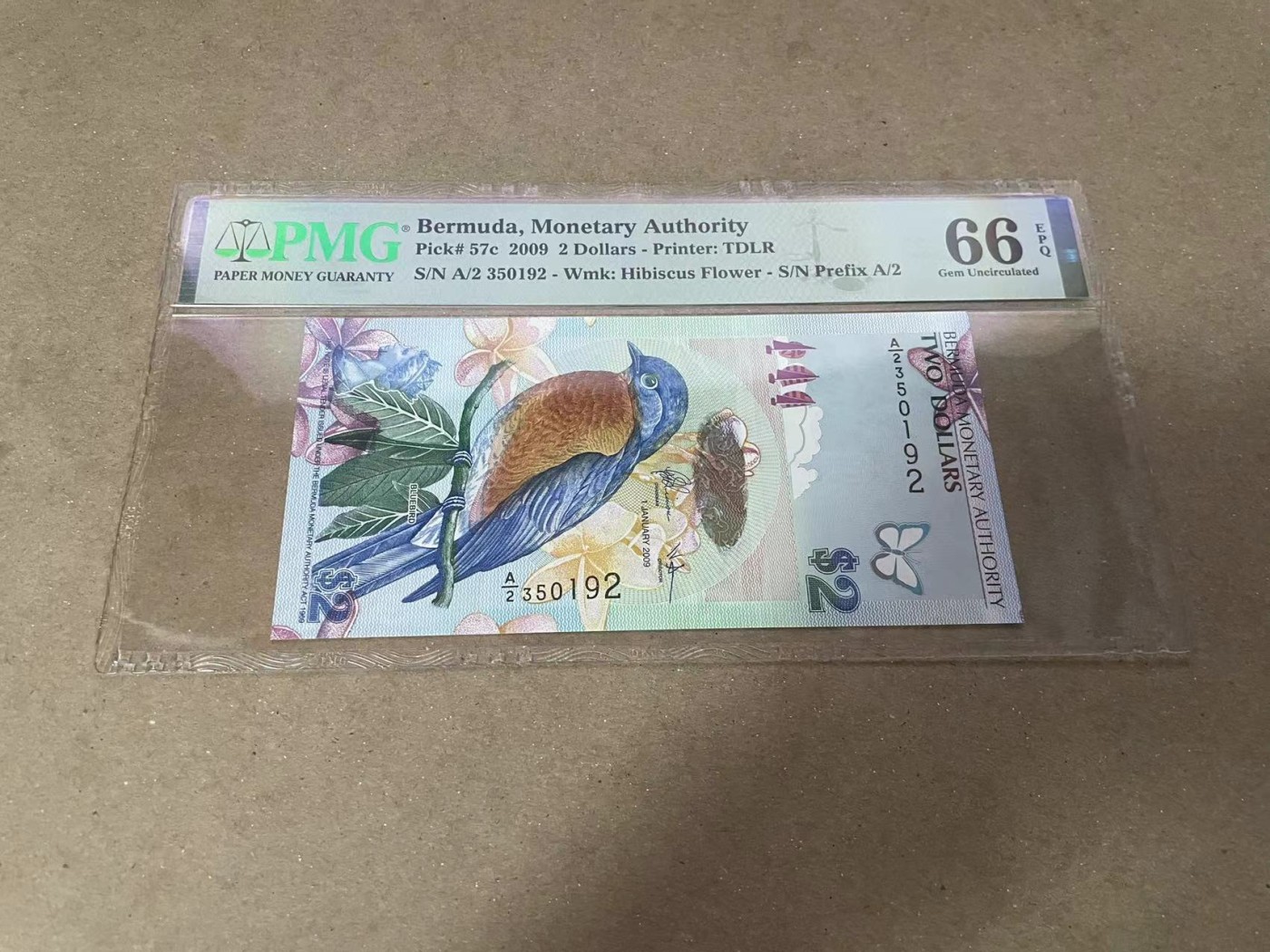 【Blue Auction】✨世界纸币精拍第360期【精】——Irish Free State 【无47】百慕大 2009年2元 PMG66EPQ 蓝鸟