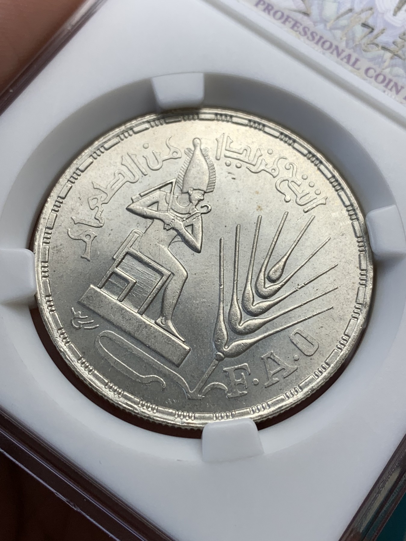 《竞宝斋》第190场-周日，周一 2场 (全场包邮) 埃及国际粮农组织1镑银币