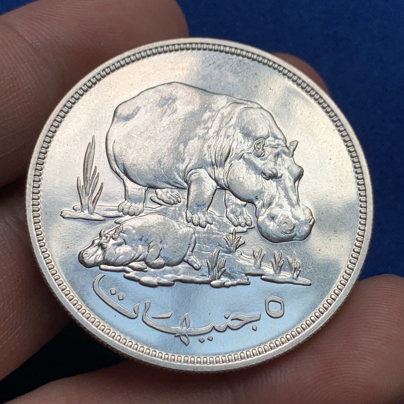 《竞宝斋》第190场-周日，周一 2场 (全场包邮) 苏丹1976年 保护自然系列河马母子 5镑 大银币 少见品种 35克 925银