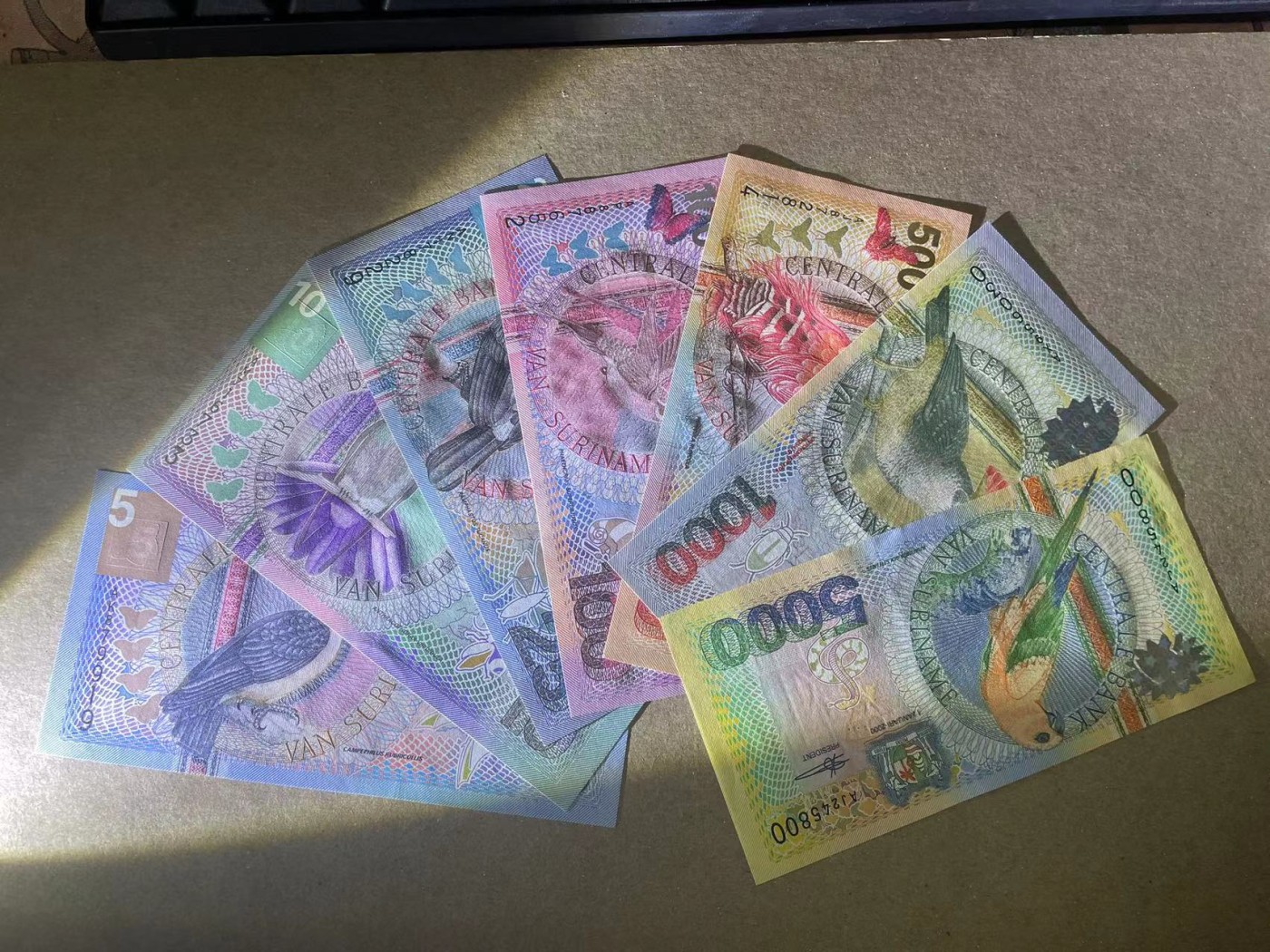 【Blue Auction】✨世界纸币精拍第360期【精】——Irish Free State 【一组7张】苏里南 2000年 5-5000盾 花鸟版 全新UNC （5000盾UNC-有个小角折）