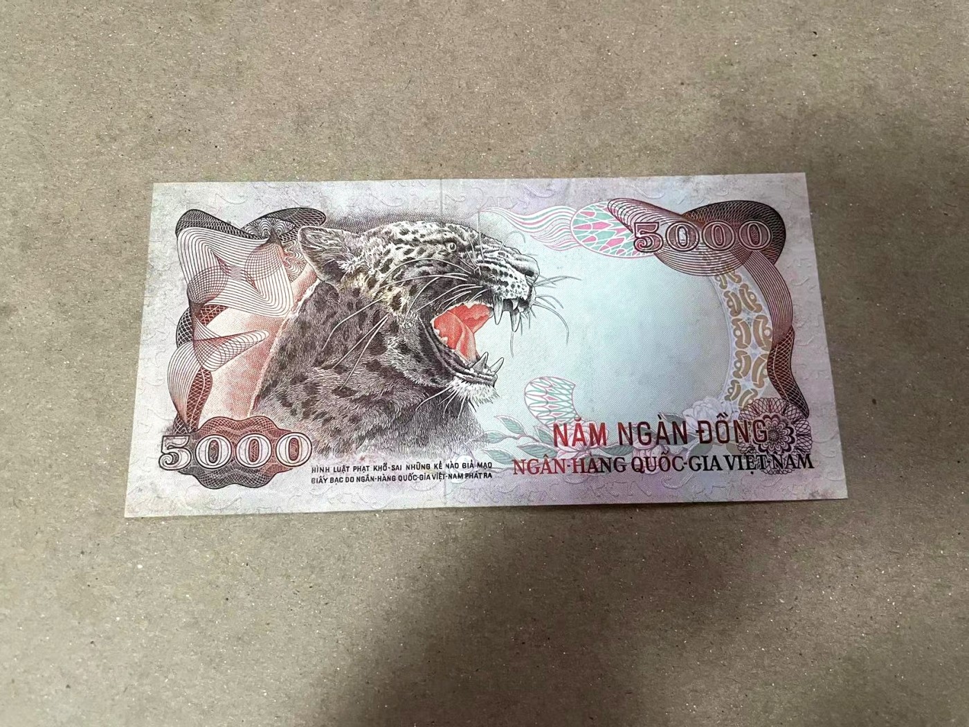 【Blue Auction】✨世界纸币精拍第360期【精】——Irish Free State 南越 1975年5000盾 未发行 实钞 经典豹子 XF-AU品相 