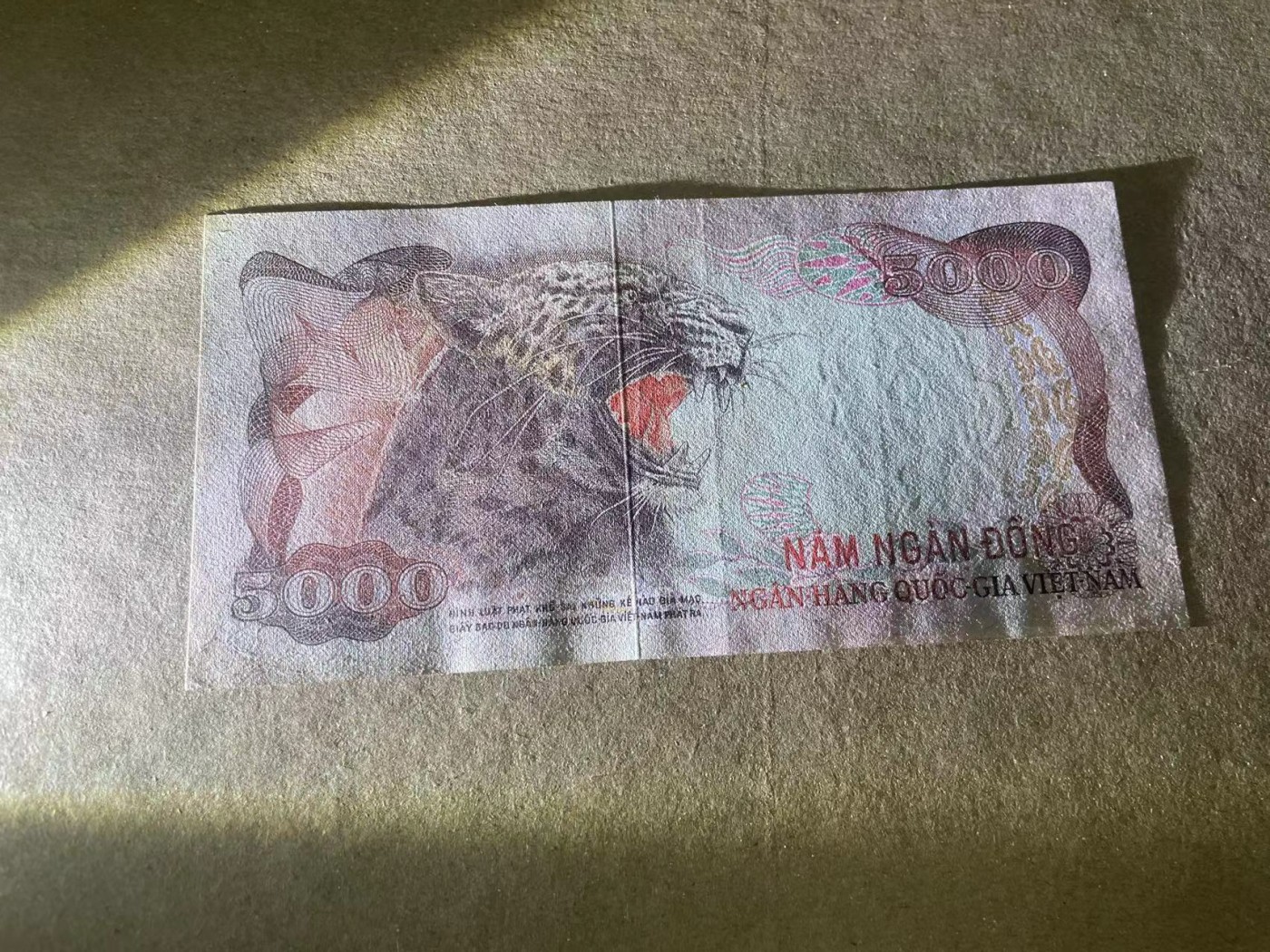 【Blue Auction】✨世界纸币精拍第360期【精】——Irish Free State 南越 1975年5000盾 未发行 实钞 经典豹子 XF-AU品相 