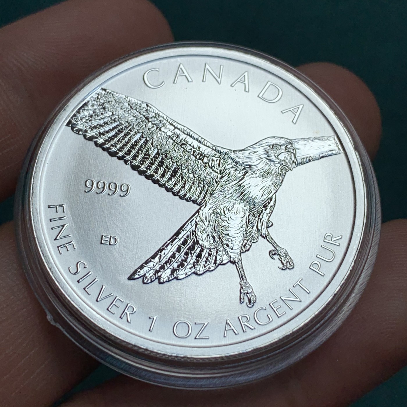 《竞宝斋》第190场-周日，周一 2场 (全场包邮) 加拿大 2015年 猛禽系列 1盎司银币 31.1克 9999银 少见品种