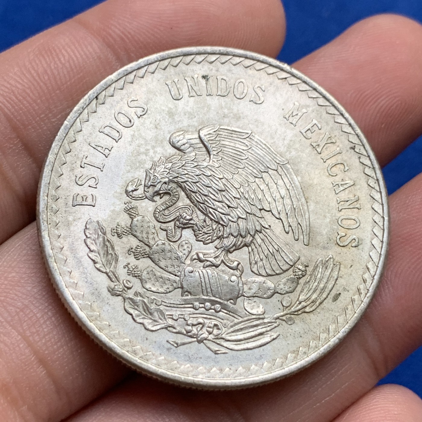 《竞宝斋》第190场-周日，周一 2场 (全场包邮) 墨西哥印第安人1948年5比索大银币