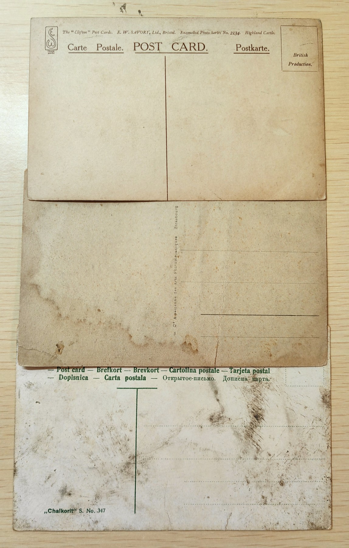 老掉牙明信片组合专场（10年代至00年代） 动物主题（牛，孔雀，骆驼）