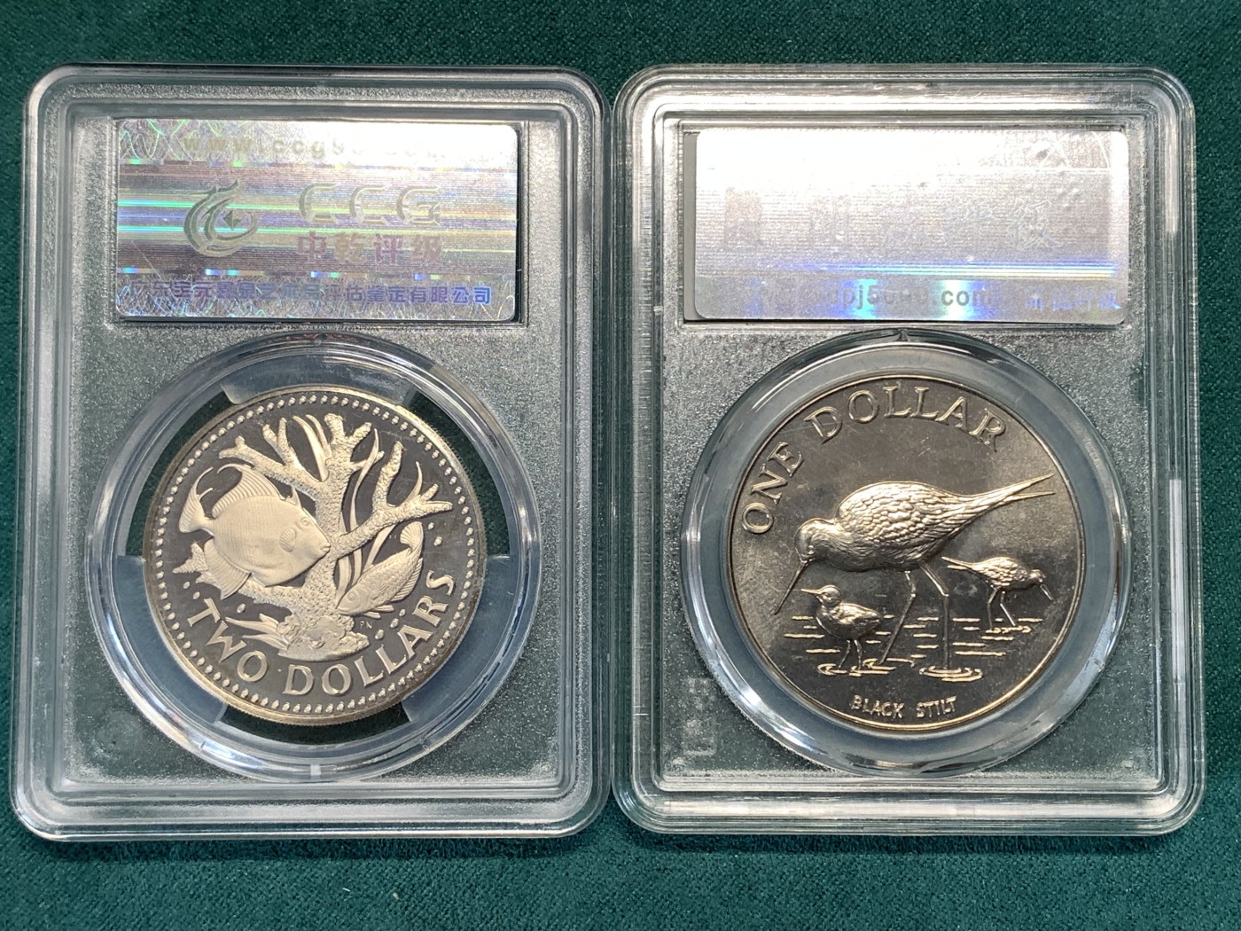 《竞宝斋》第190场-周日，周一 2场 (全场包邮) 2枚一组 1973 年 巴巴多斯 海洋鱼类 2元纪念币 中乾评级+1985 年 新西兰 本土鸟类系列 1元纪念币 闻得评级