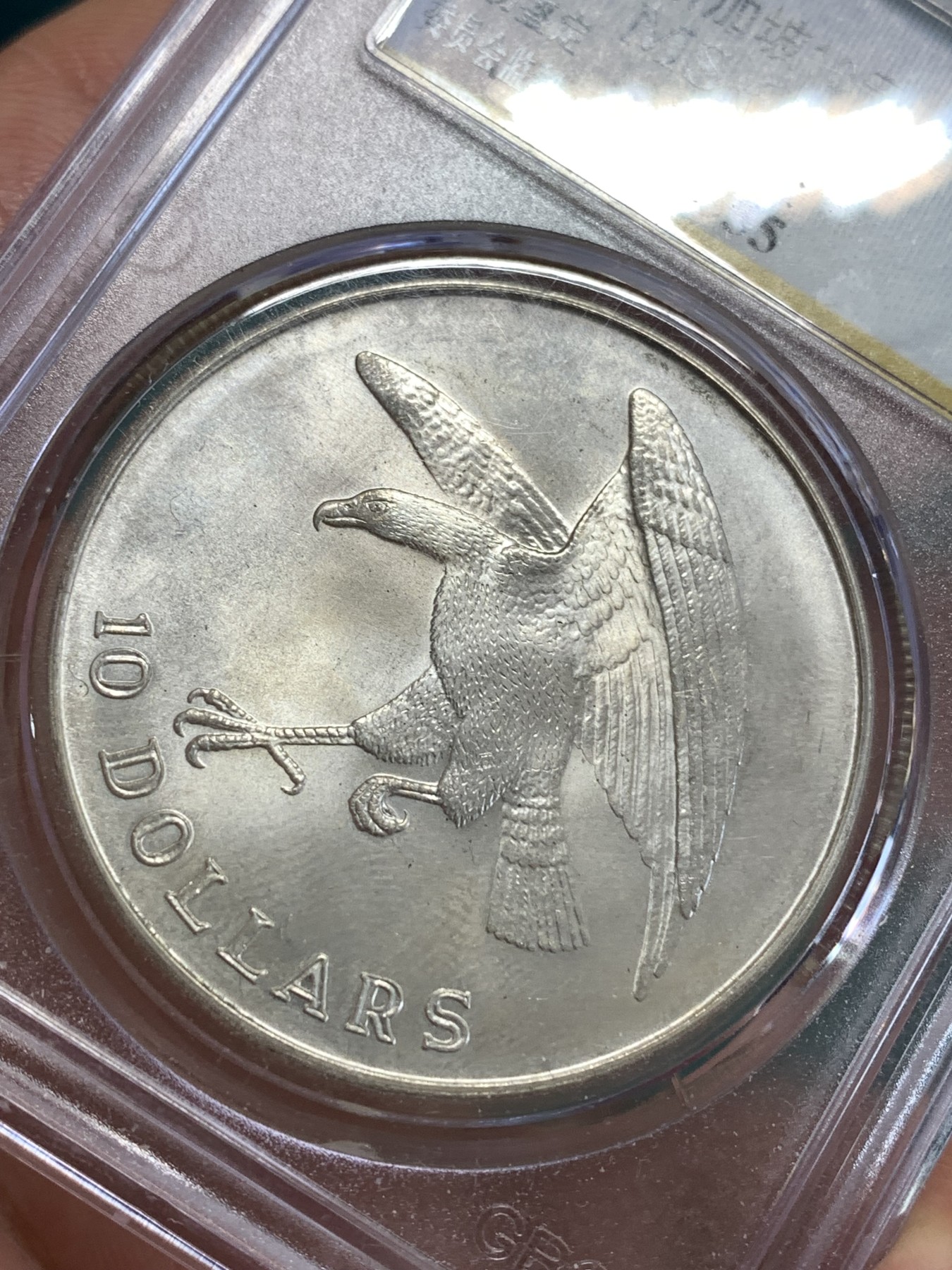 《竞宝斋》第190场-周日，周一 2场 (全场包邮) 公博-MS66 新加坡 1974年10元 老鹰大银币 大个子沉甸甸