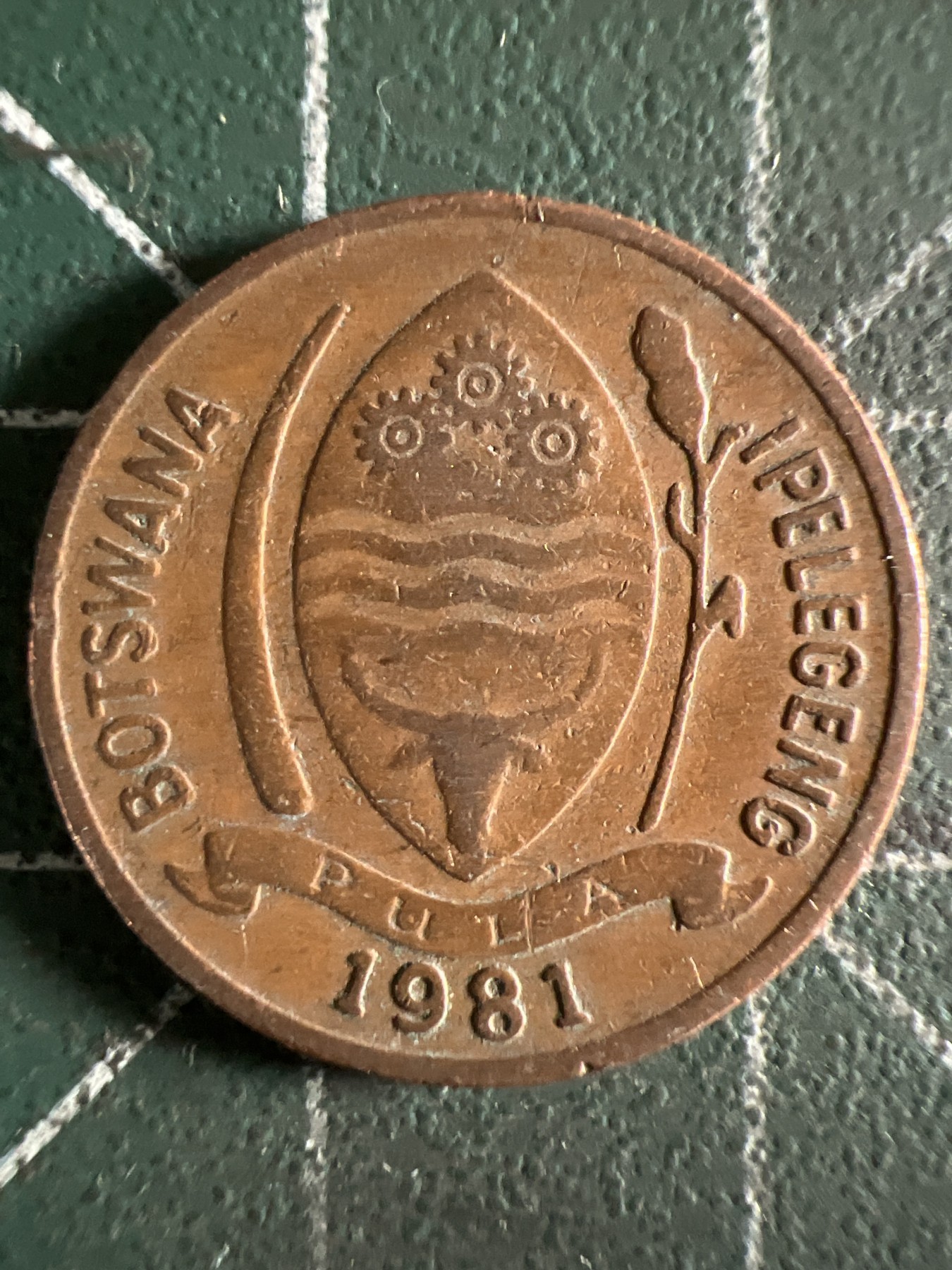 第402期 硬币专场 （无押金，捡漏，全场20包邮，偏远地区除外，接收代拍业务） 博茨瓦纳5瑟比