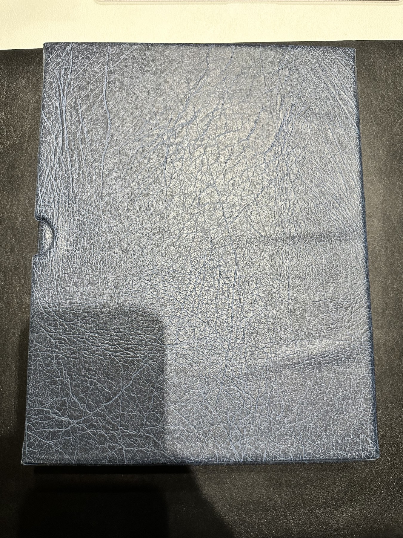 《外钞收藏家》第二百九十一期（荷兰比利时卢森堡欧元专场）（连拍第二场） 德国蓝色灯塔收藏册，带2格+3格+黑色分隔页（1页+29页+31页），二手