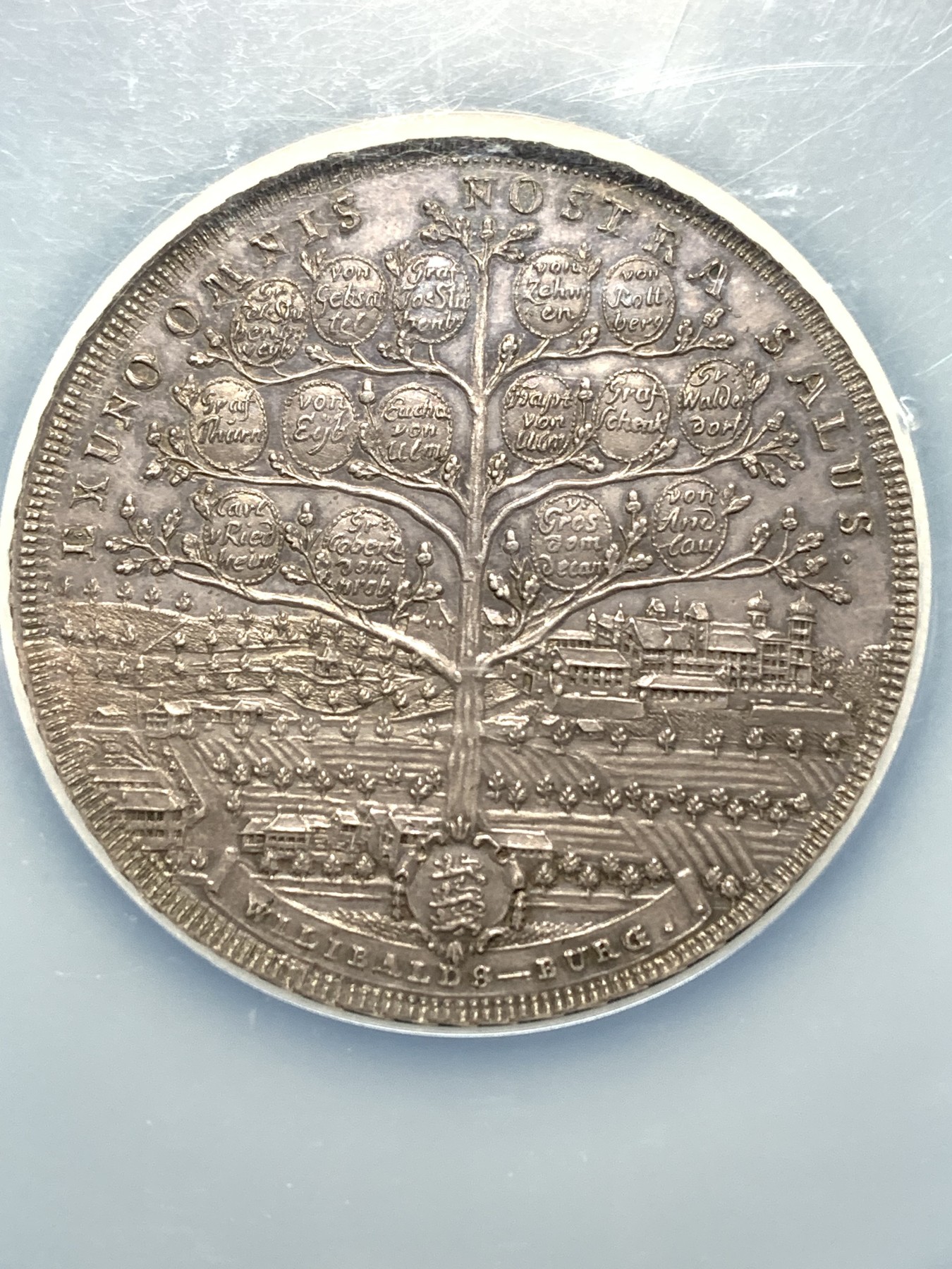 欢迎参加《竞宝斋》为爱冲冲冲 七夕特拍专场 ！第191场 (全场包邮) NGC-MS64 1790年德国艾希施塔特教宗缺位2泰勒大银币 宗教色彩浓郁的一枚钱币，全知之眼与世界之树，大规格2T，均匀的铁灰色包浆，状态极佳
