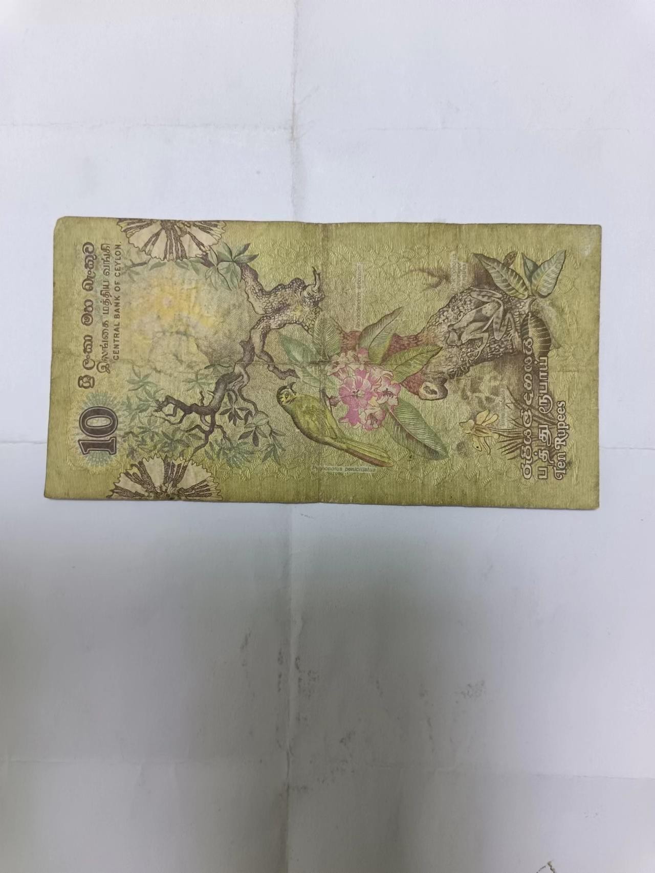 【20230819】非全新纸币第五十九场 斯里兰卡1979年10卢比，有字迹