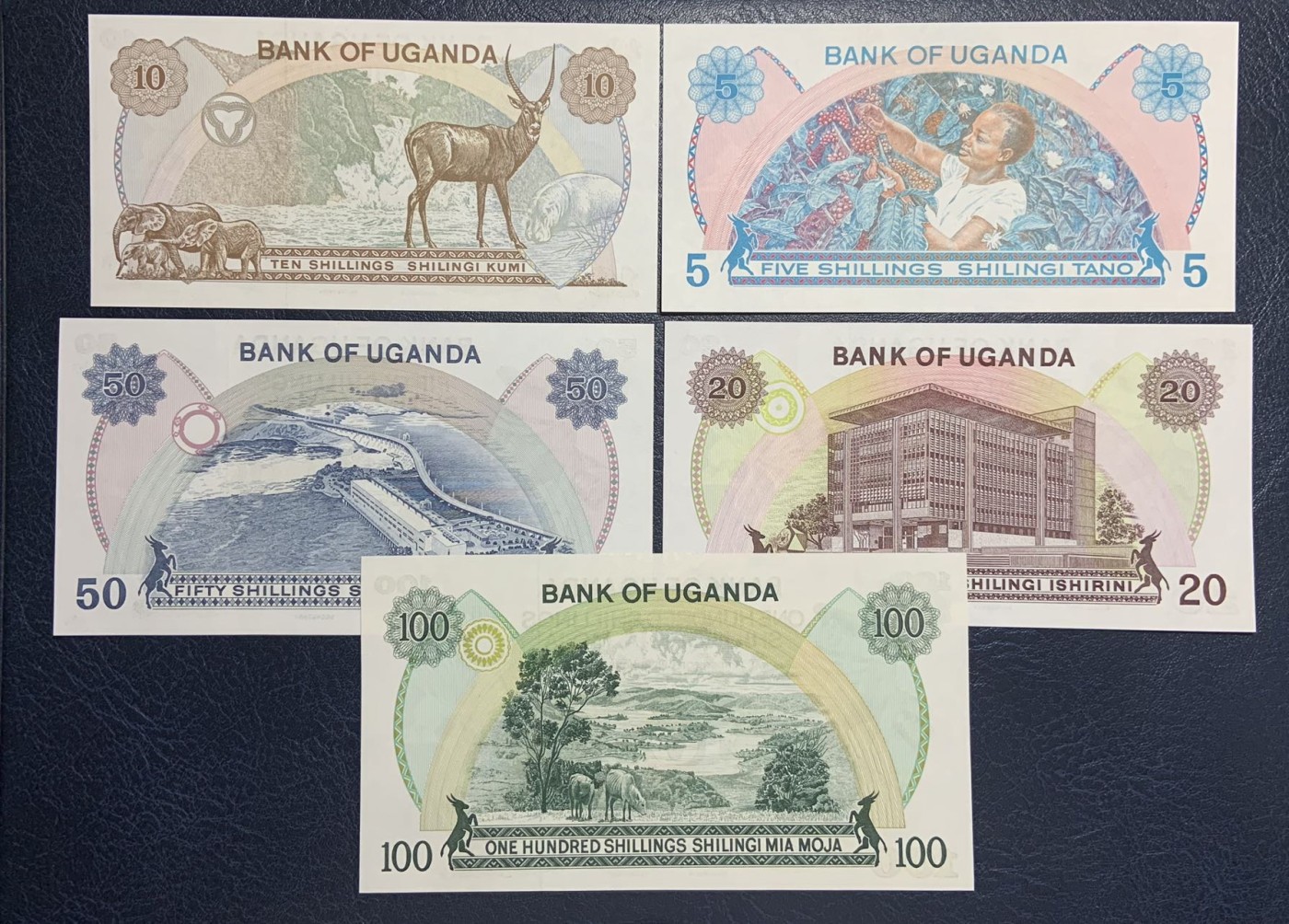 收藏联盟Quantum Auction 第282期拍卖 “多水之乡”-法属圭亚那 乌干达1973年5-100先令尾二同 品相全新UNC 非洲三大暴君之阿明