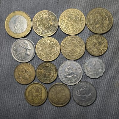 七十九期 八月第五拍 9月3日发货 - 8.5.1散币