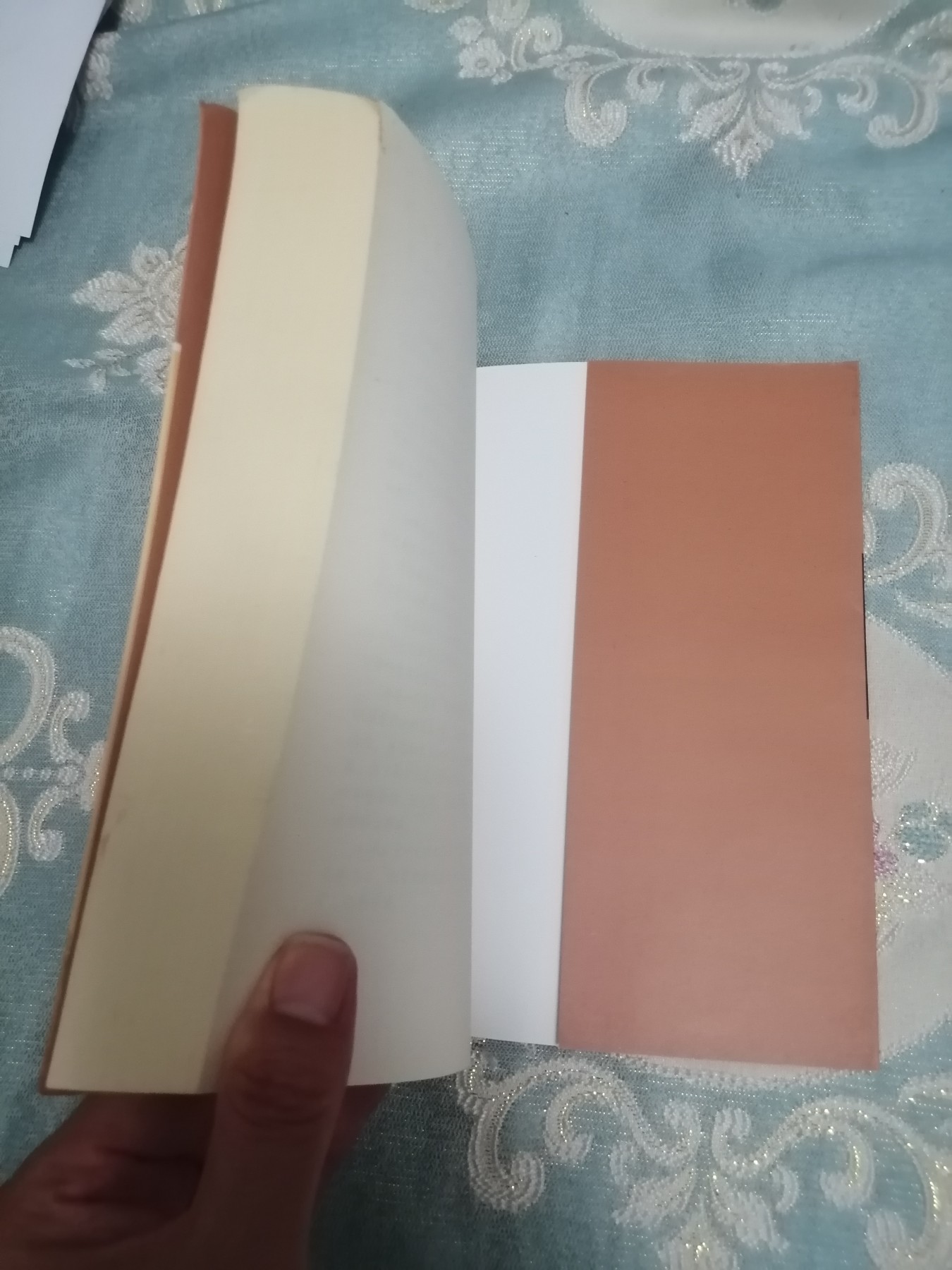 走进延安（作者签名）