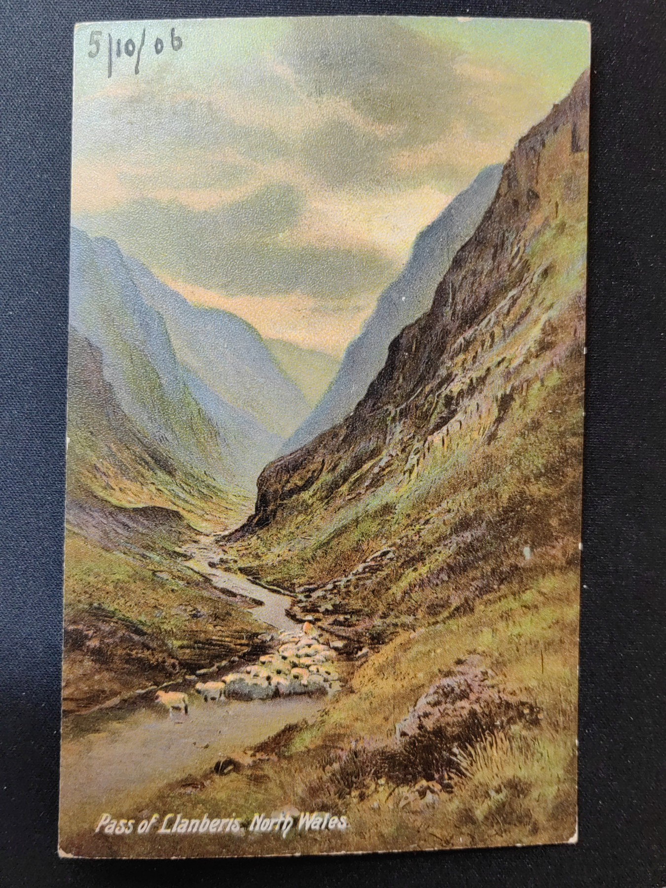 一战时期实寄明信片（精选） 1906年 山下的羊群