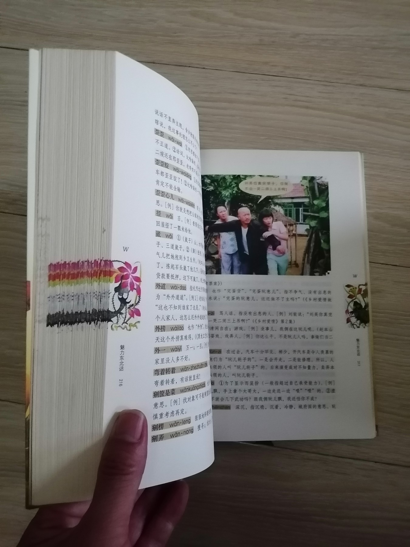 魅力东北话（于丹友情撰序/赵本山提名撰序，白岩松/崔凯/林和平联袂推荐）