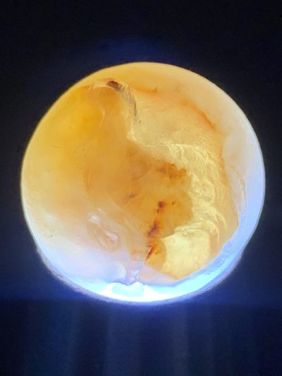 精美亚光糖心料战国红玛瑙手工俏色巧雕仙鹤随形圆珠一个 精美亚光糖心料战国红玛瑙手工俏色巧雕仙鹤随形圆珠一个