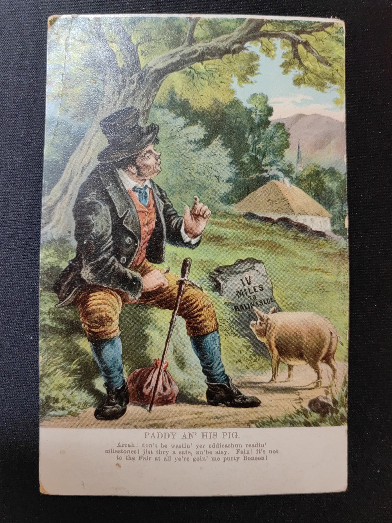 一战时期实寄明信片（精选） 1910年 帕迪和他的猪