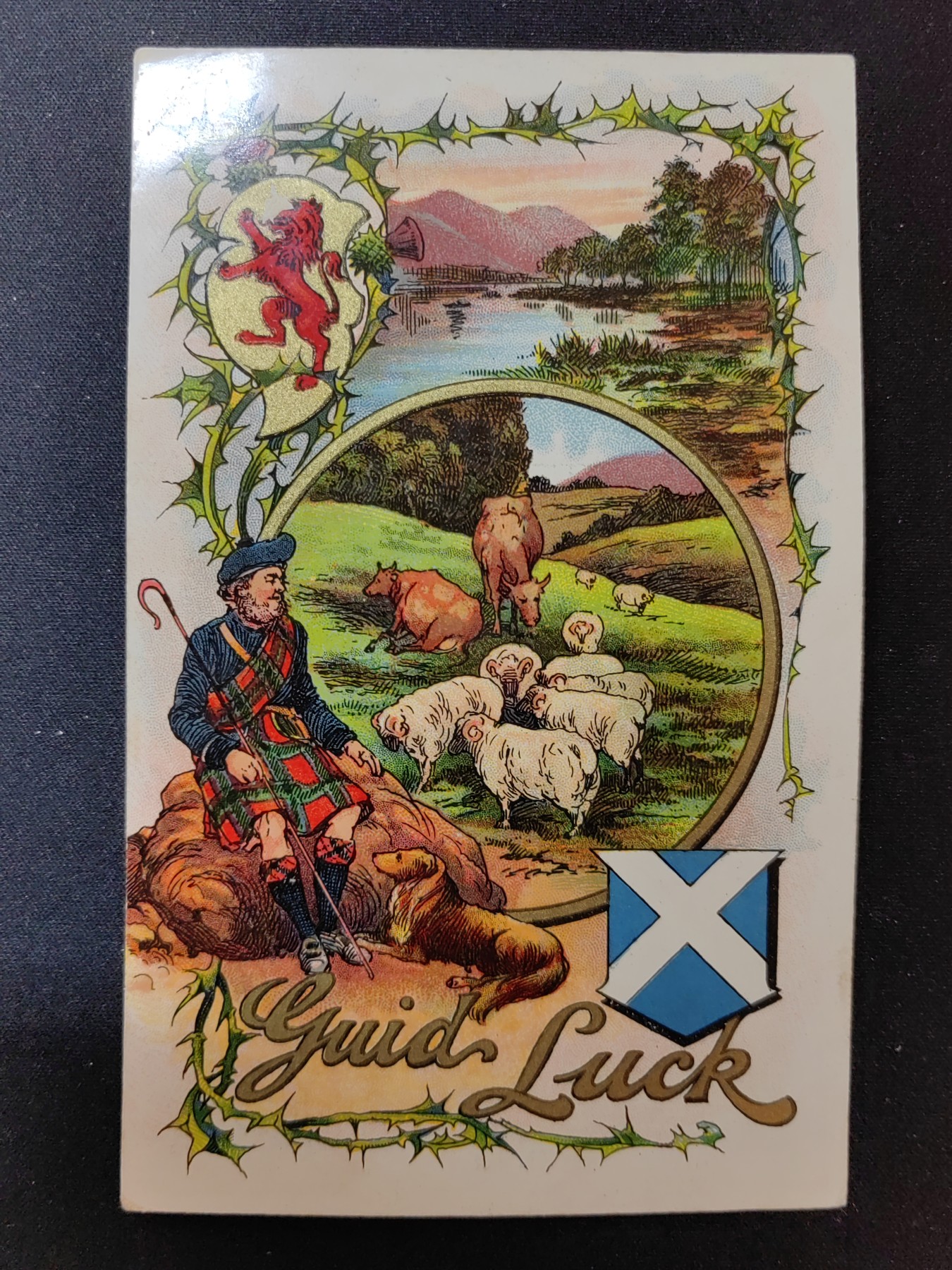 一战时期实寄明信片（精选） 1913年 牧羊人