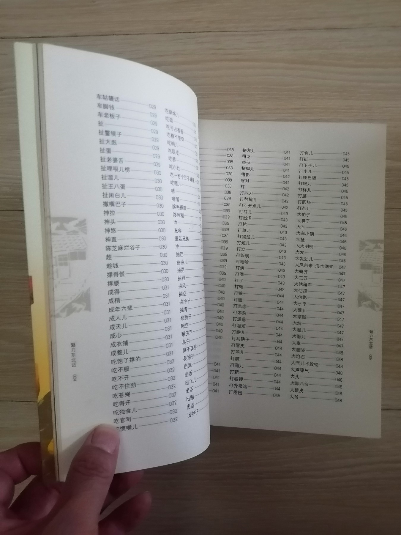 魅力东北话（于丹友情撰序/赵本山提名撰序，白岩松/崔凯/林和平联袂推荐）
