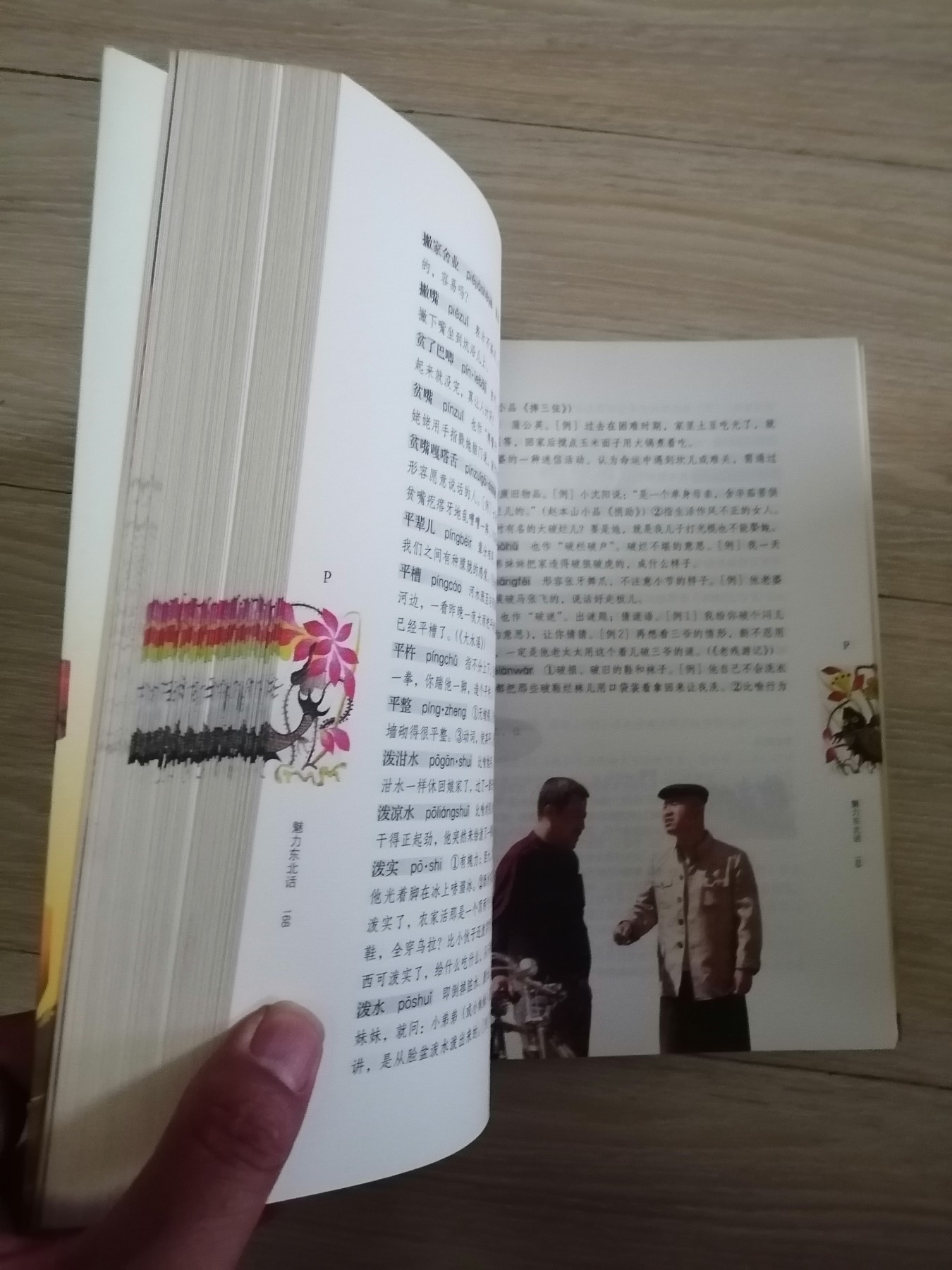 魅力东北话（于丹友情撰序/赵本山提名撰序，白岩松/崔凯/林和平联袂推荐）