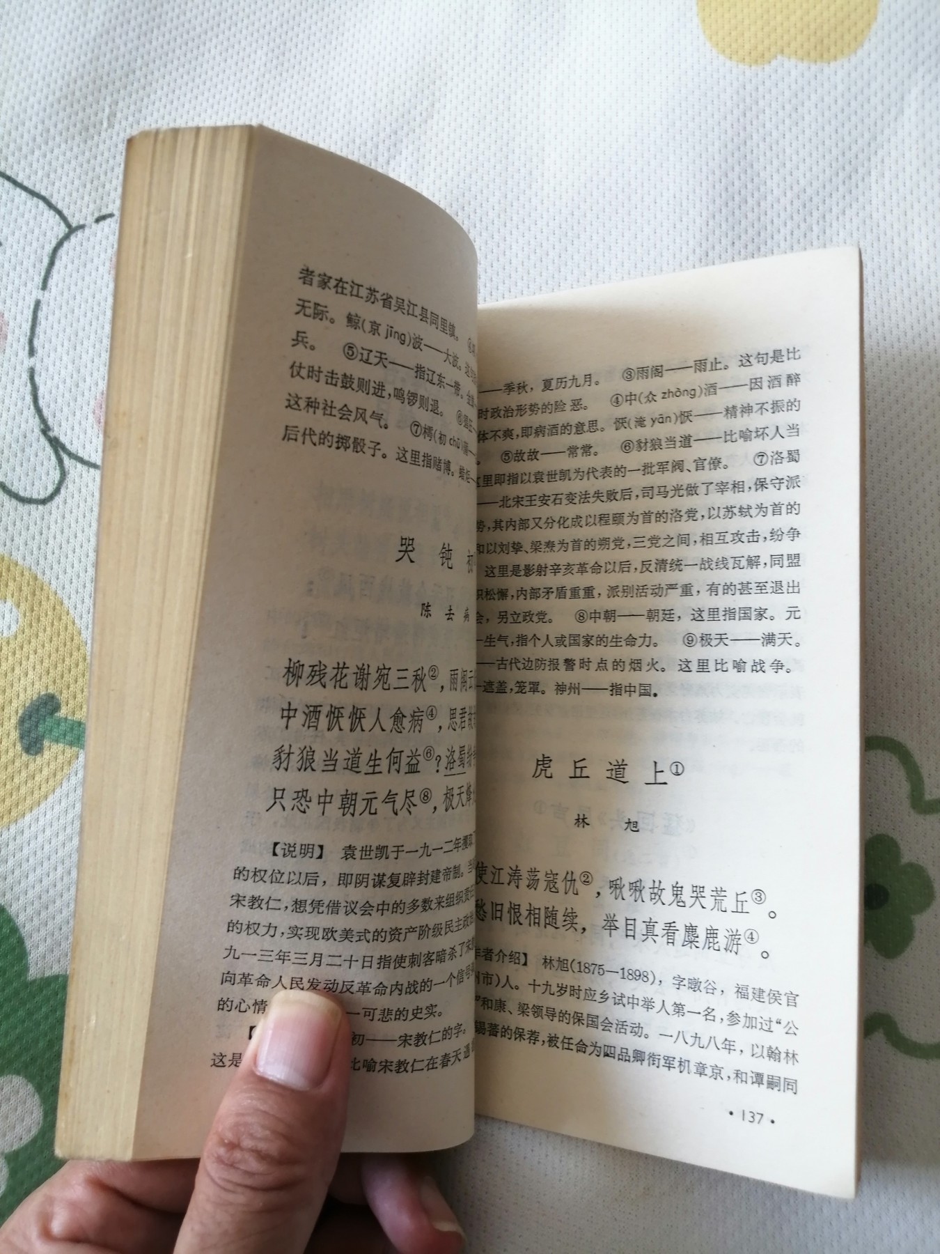 近现代诗一百首