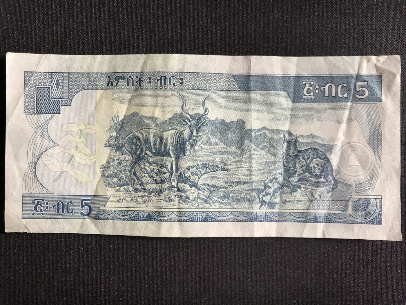 第3期 纸币专场 （无押金，捡漏，全场20包邮，偏远地区除外，接收代拍业务） 埃塞俄比亚5比尔