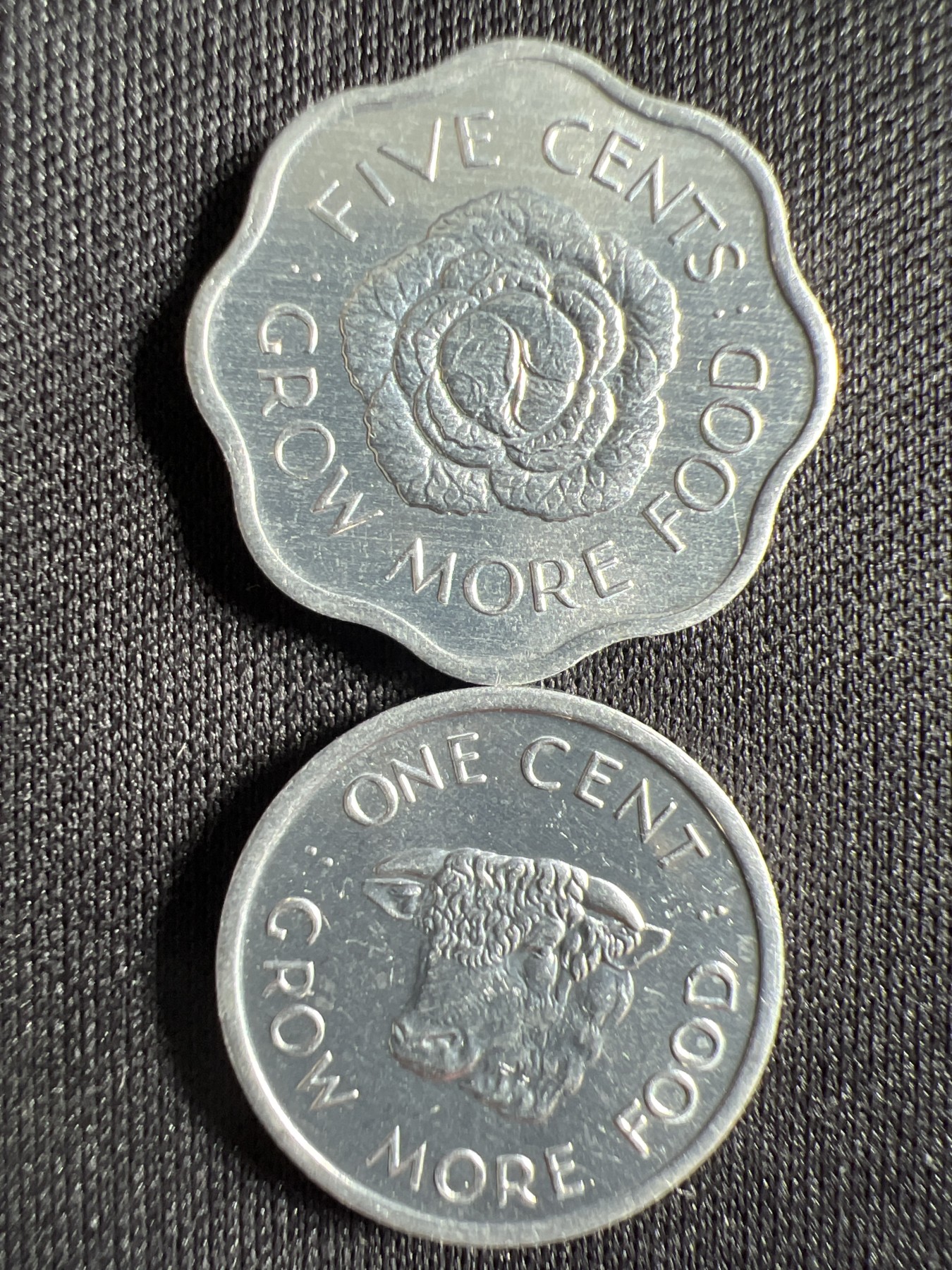 第1期 硬币专场 （无押金，捡漏，全场20包邮，偏远地区除外，接收代拍业务） 塞舌尔两枚