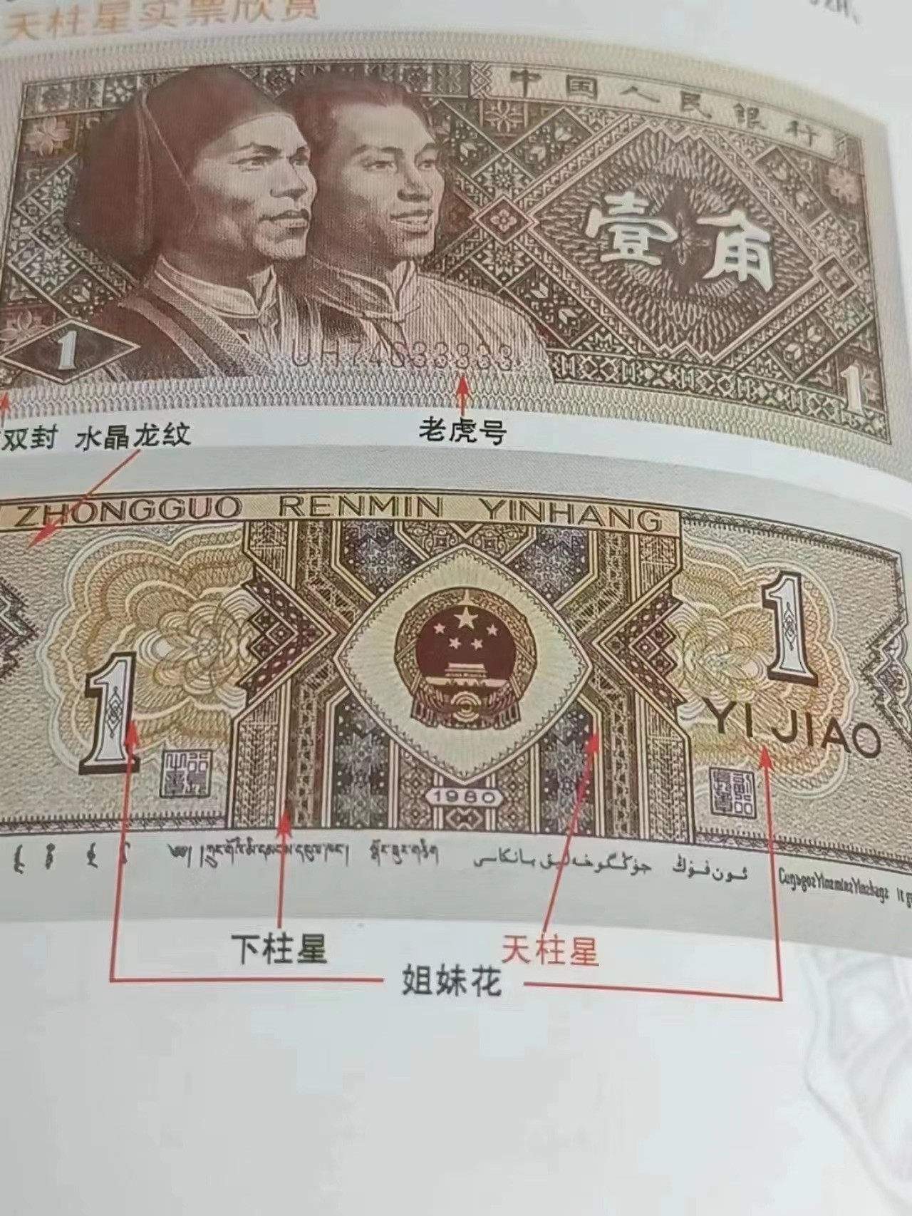 一线荧光币第330期拍场  钱坤评级8001至尊绿牡丹，倒七巧，稀有好货，YG89235228，全程无四七，评级币单张，数量有限，喜欢的一定不要错过！8001至尊绿牡丹，背面整版颜色主体绿色明显，两边底纹线条粗犷颜色墨绿，两侧团花墨绿色清晰粗犷，中间位置绿星，绿柱颜色突出。