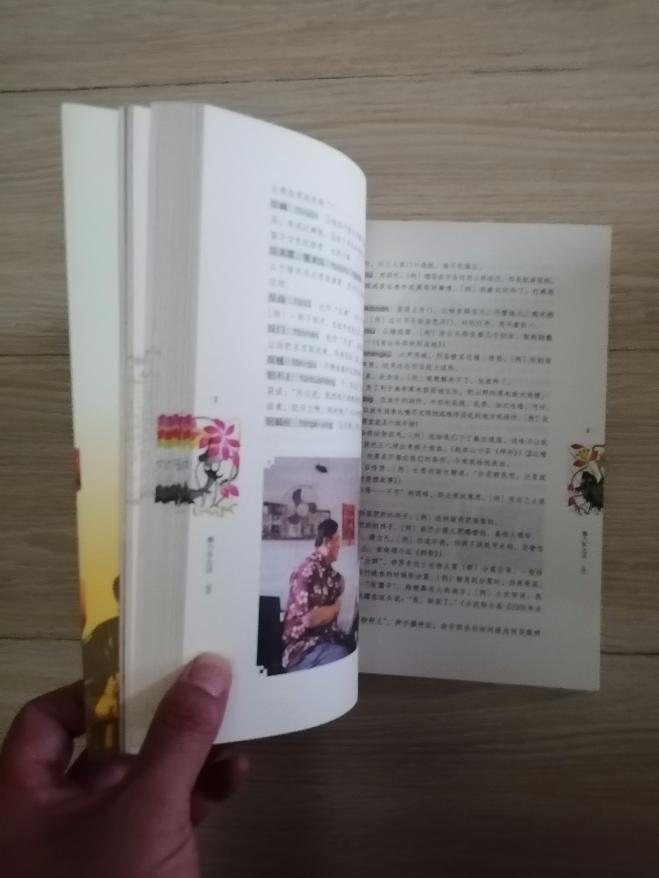 魅力东北话（于丹友情撰序/赵本山提名撰序，白岩松/崔凯/林和平联袂推荐）