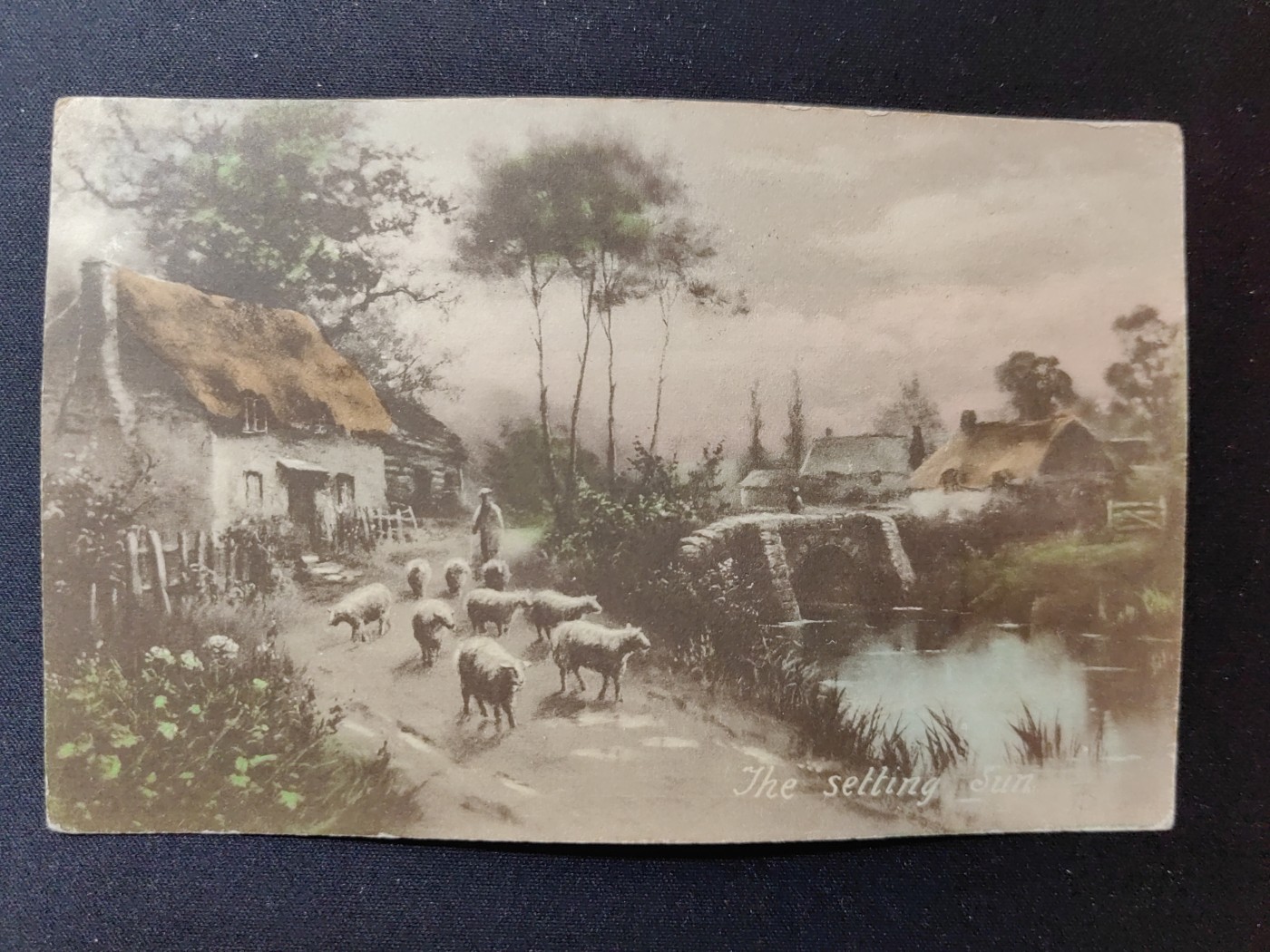 一战时期实寄明信片（精选） 1924年 羊群