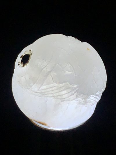 满冰飘亚光战国红玛瑙手工俏色巧雕龙鱼随形珠一个，寓意：富贵有余 满冰飘亚光战国红玛瑙手工俏色巧雕龙鱼随形珠一个，寓意：富贵有余