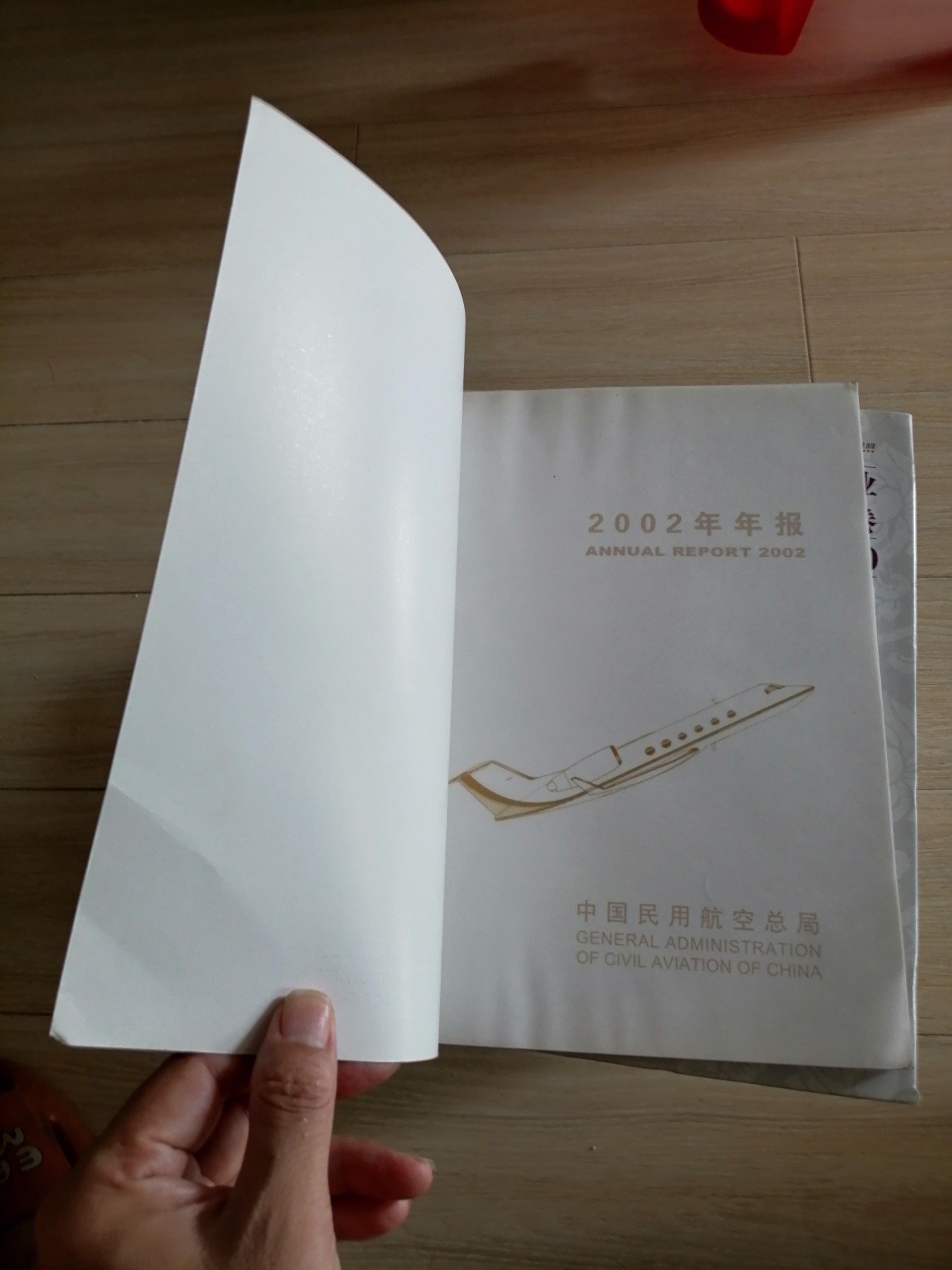 二〇〇二年年报（中国民用航空总局）